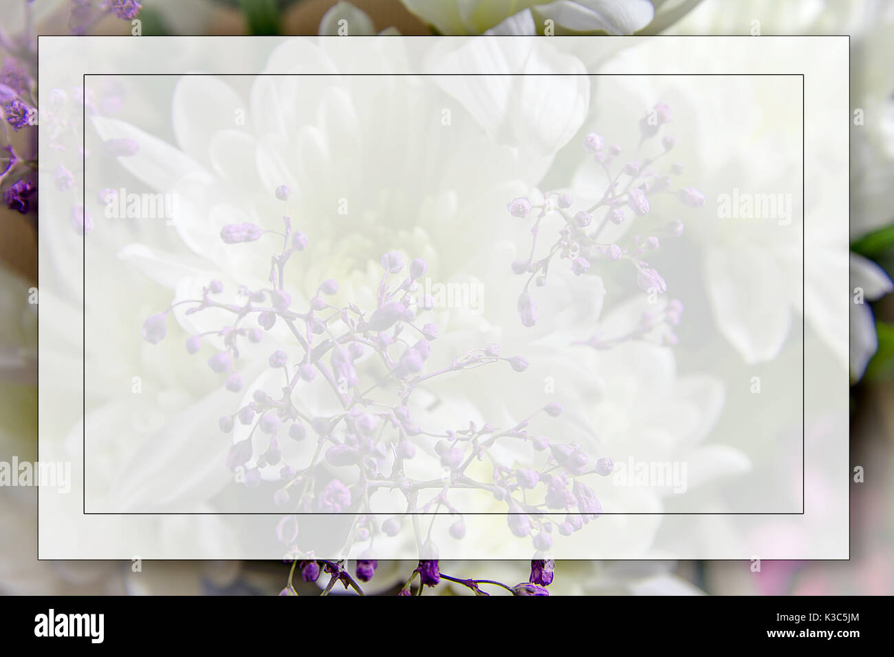'Put Your Own Text Box' over a Lilac Flower Background.  The image was taken on the 15 February 2015 Stock Photo