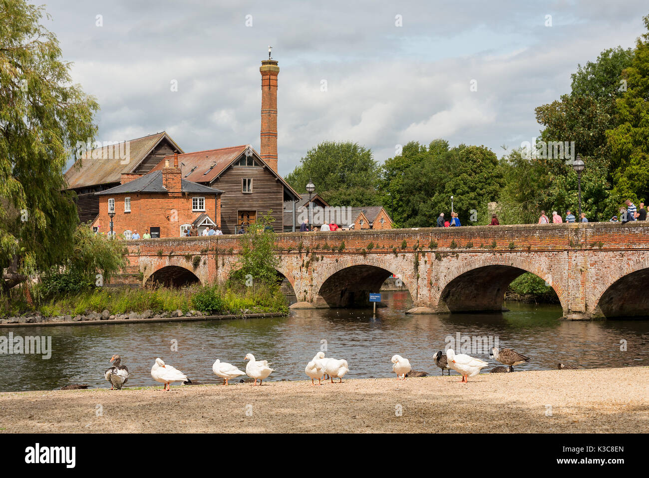 The Tramway bridge, Stratford upon avon crossing the river avon to the Cox's Yard Old wood mill building, and mute swans in the foreground. Stock Photo