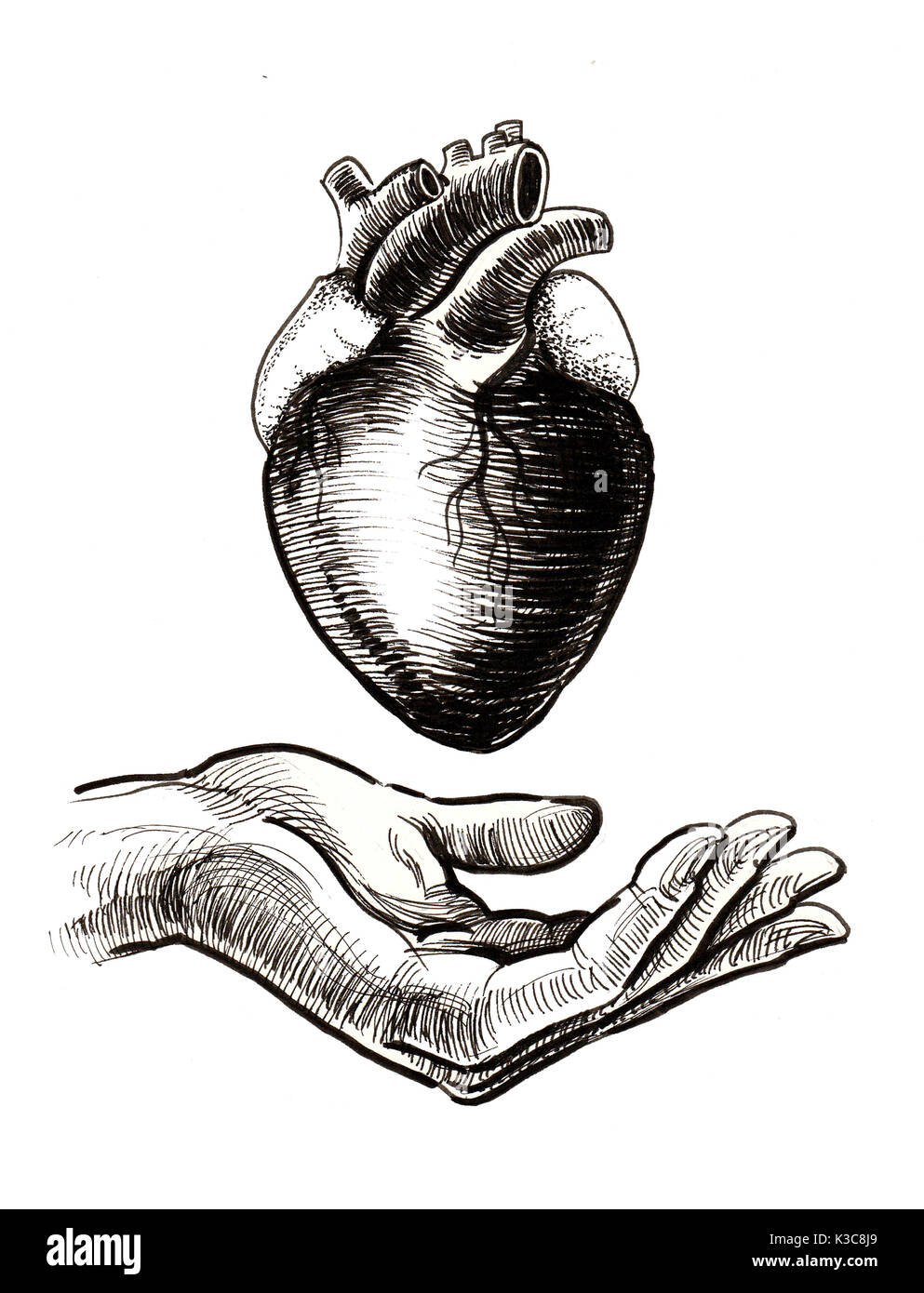 Руки держат сердце