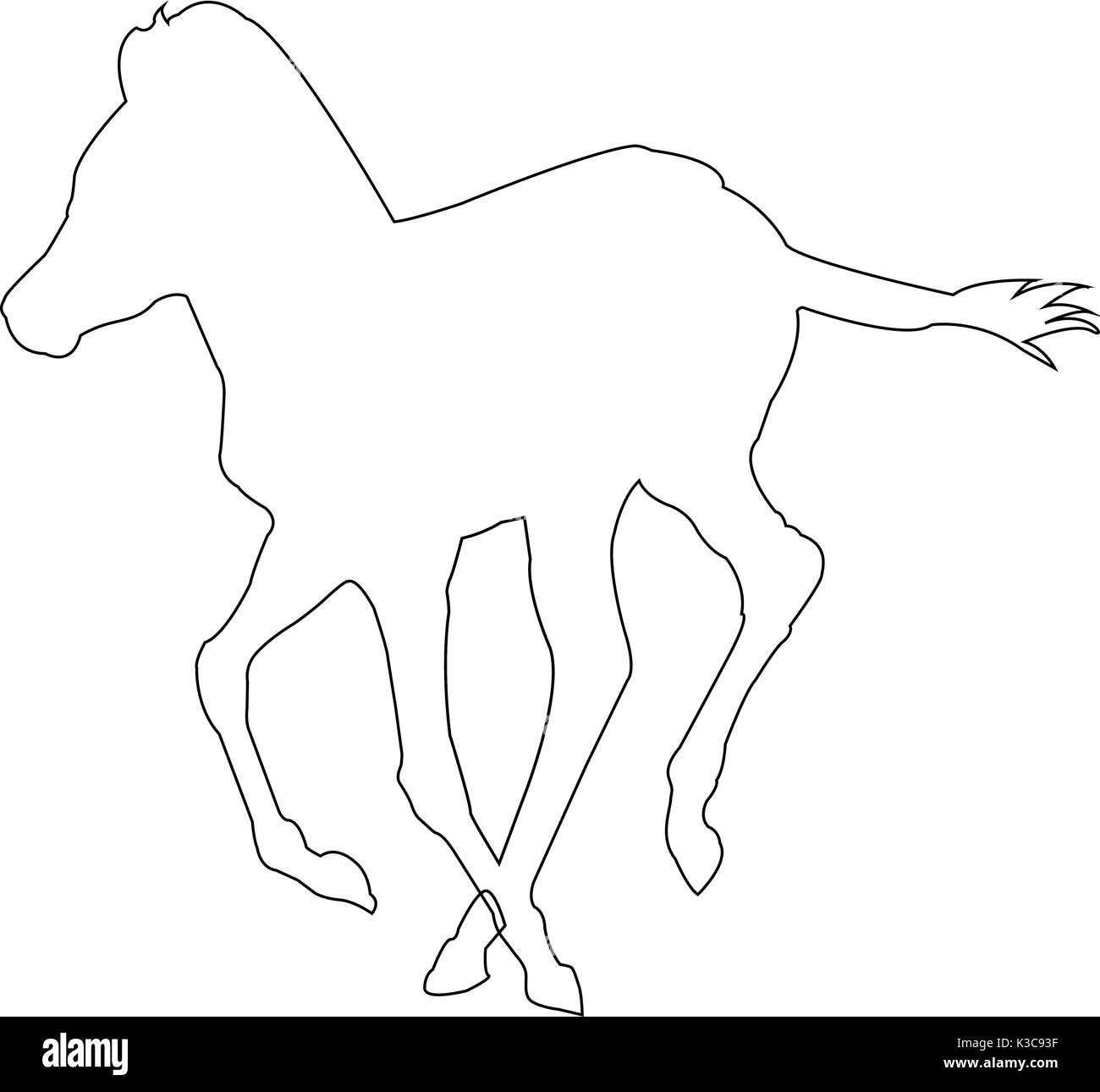 Outline of an african Zebra Stock Vector