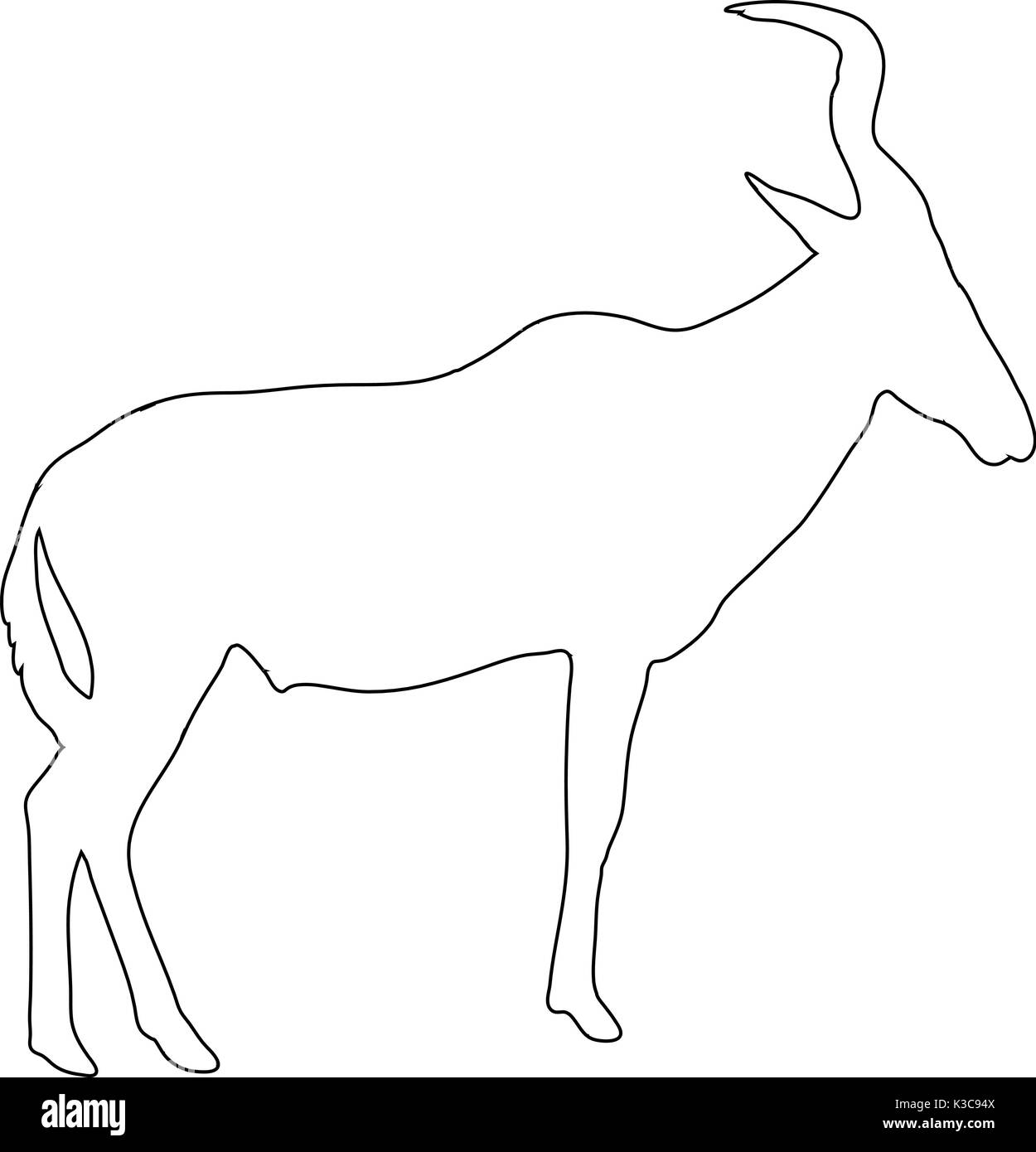 Outline of an african red hartebeest Stock Vector