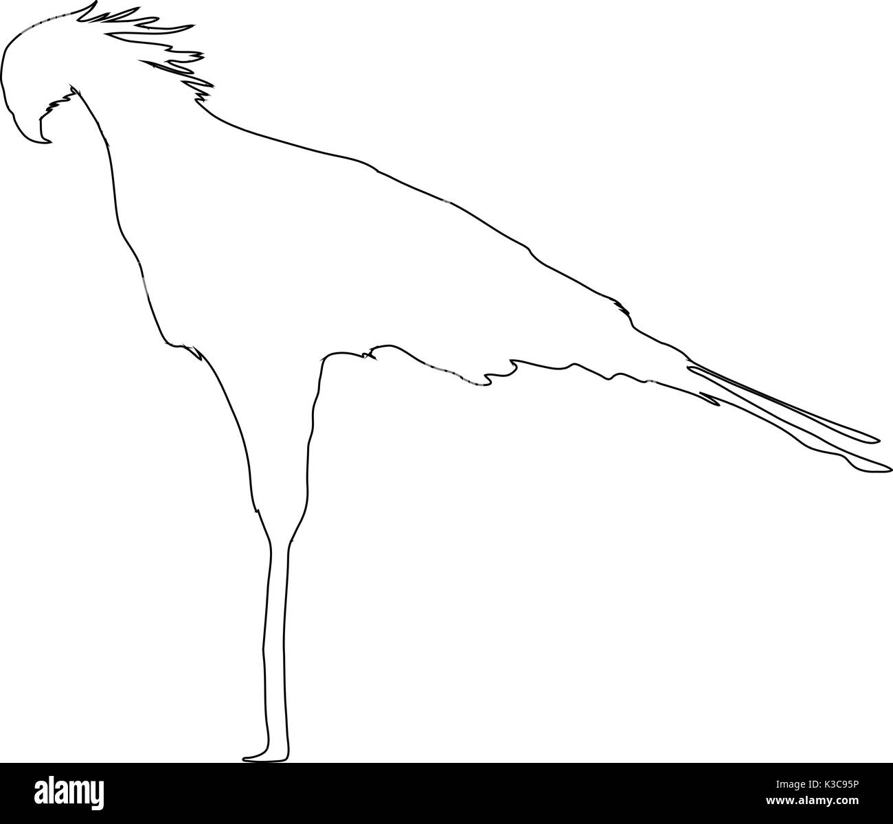 Explore 78+ best secretary bird coloring pages , free to print and ...