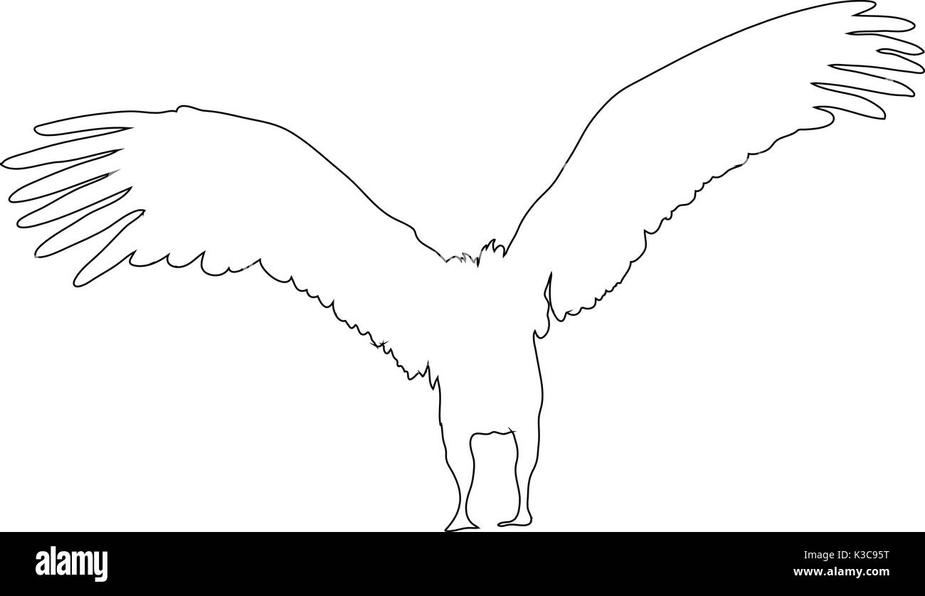 Vulture Stock Vector Images Alamy