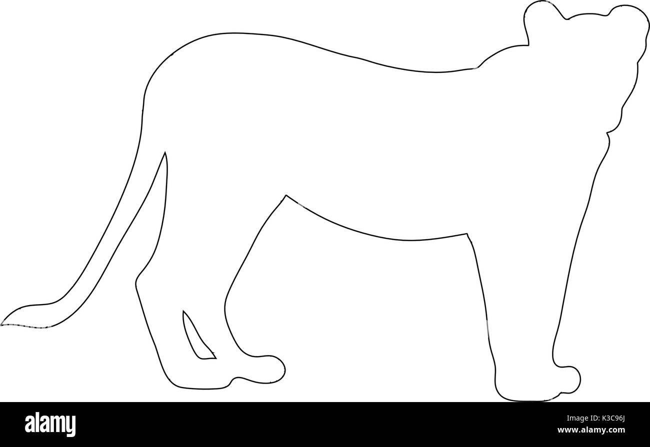 Outline of an african female Lion Stock Vector