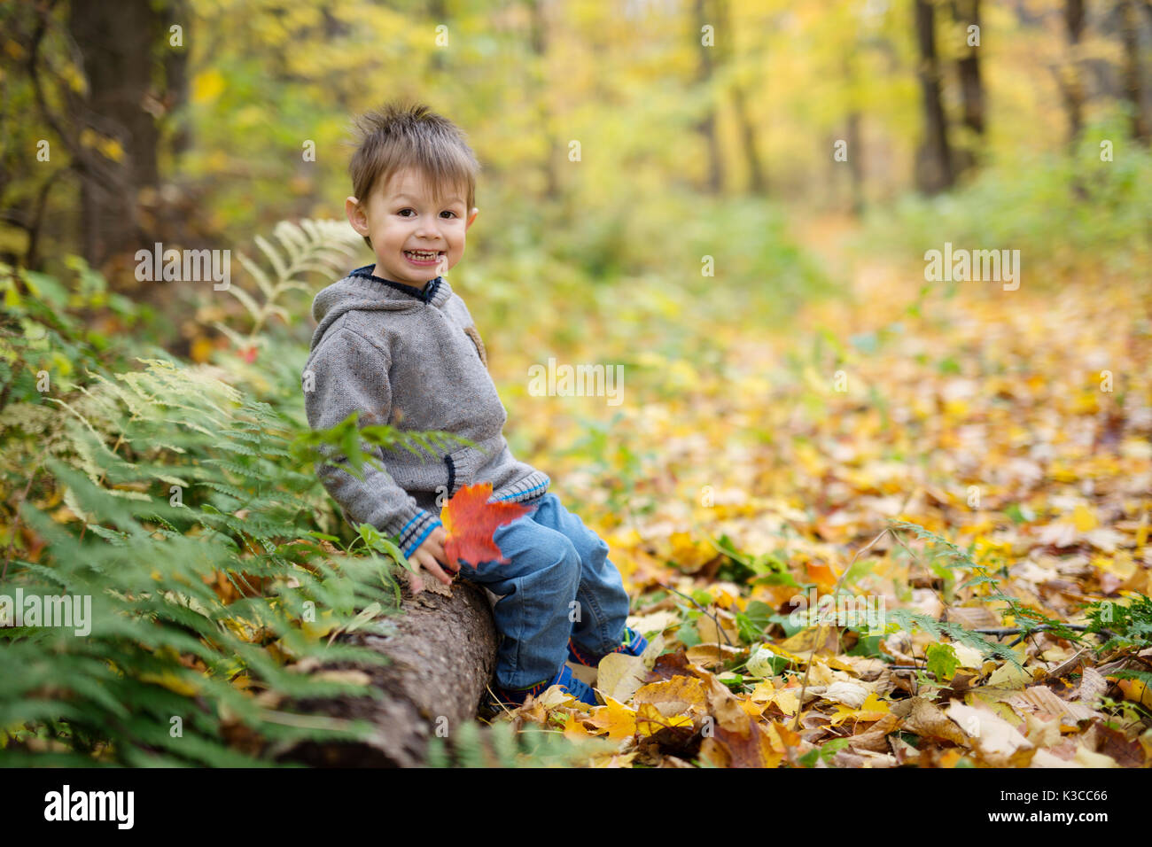 Portrait of playful little boy in the park Stock Photo - Alamy