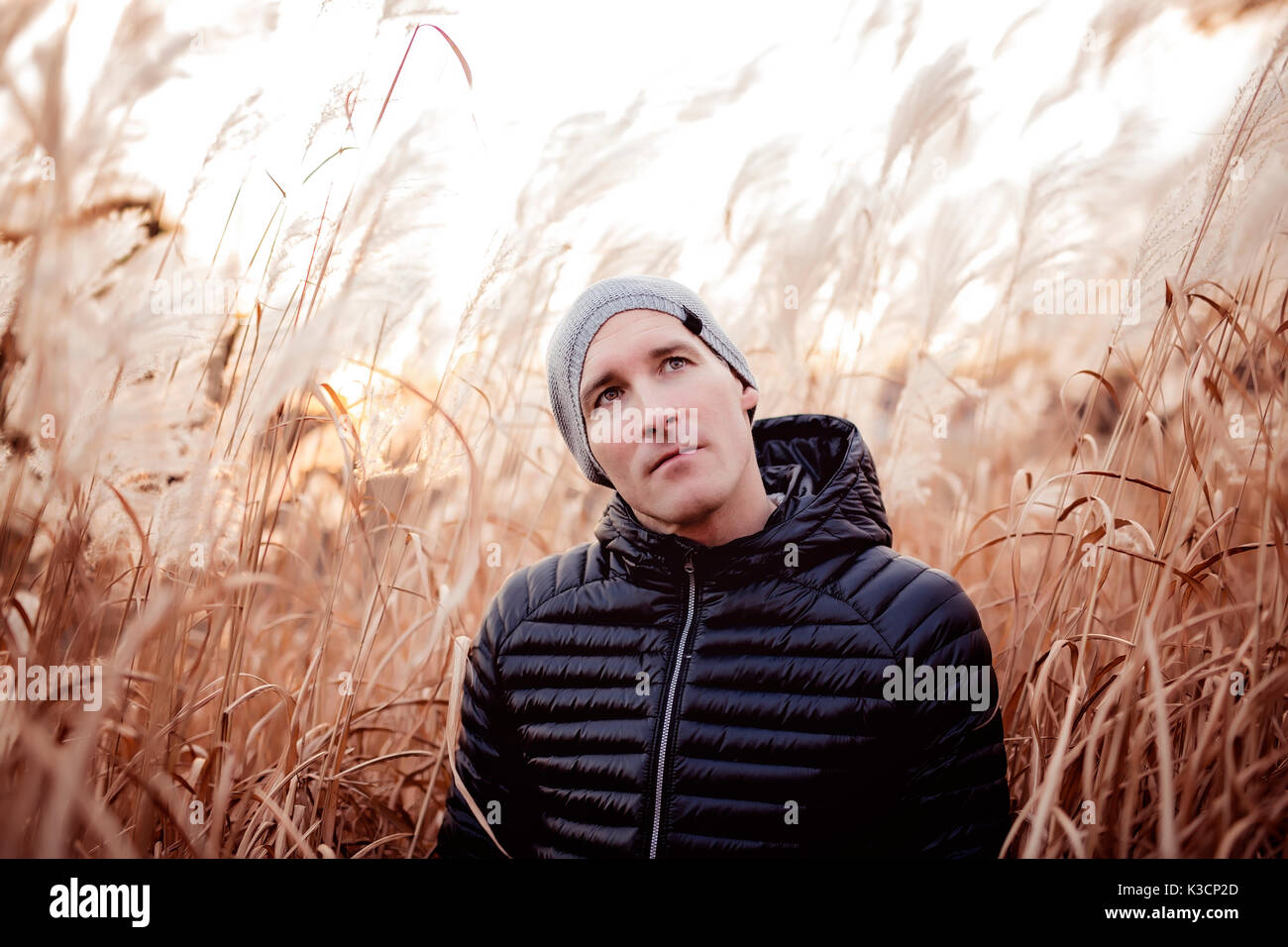 men in a field at sunset season with hat Stock Photo - Alamy