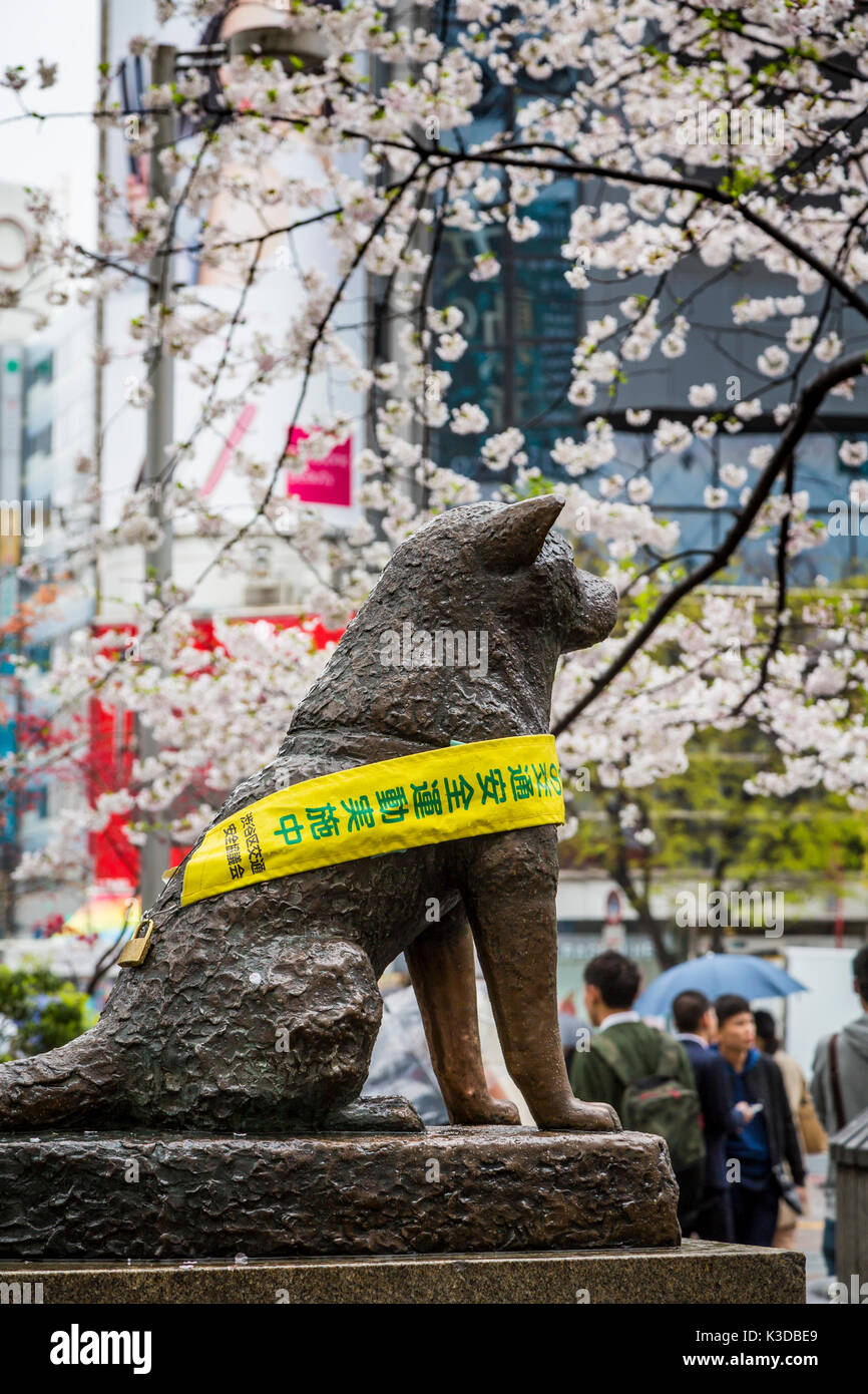 Dog Train Station High Resolution Stock Photography and Images Alamy
