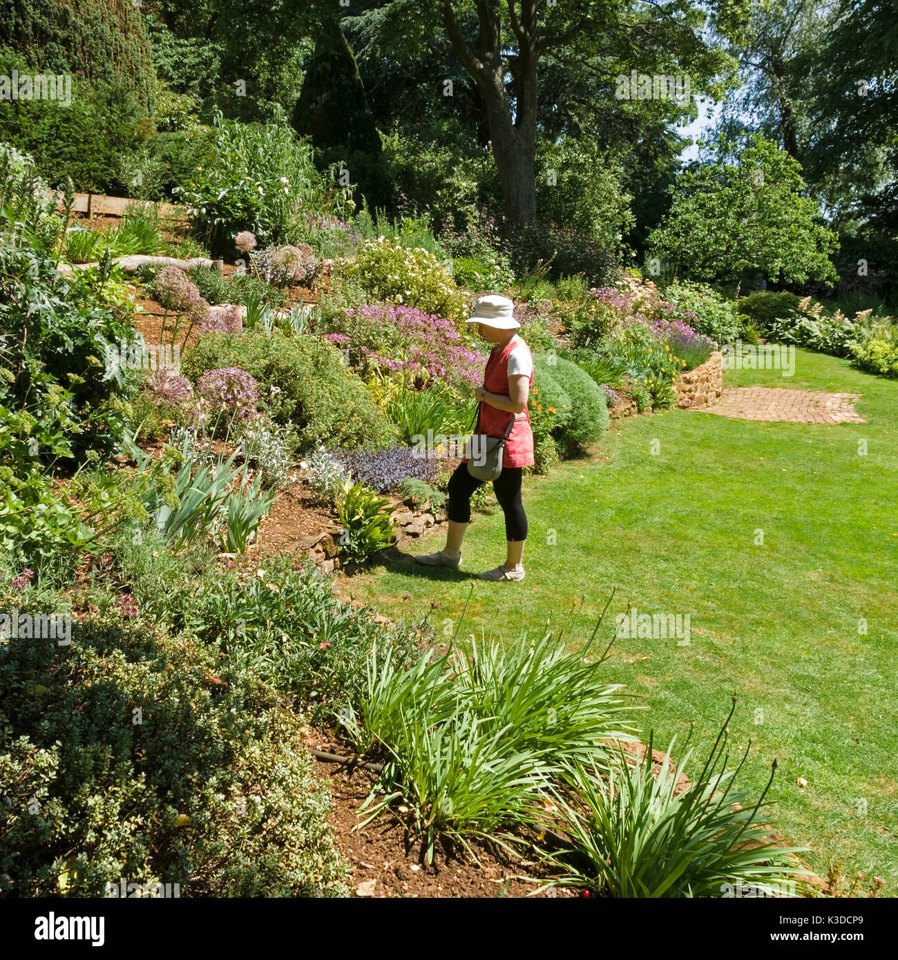 Visitor admires deep landscaped garden lawn borders, Coton Manor Gardens, Northamptonshire, England, UK Stock Photo