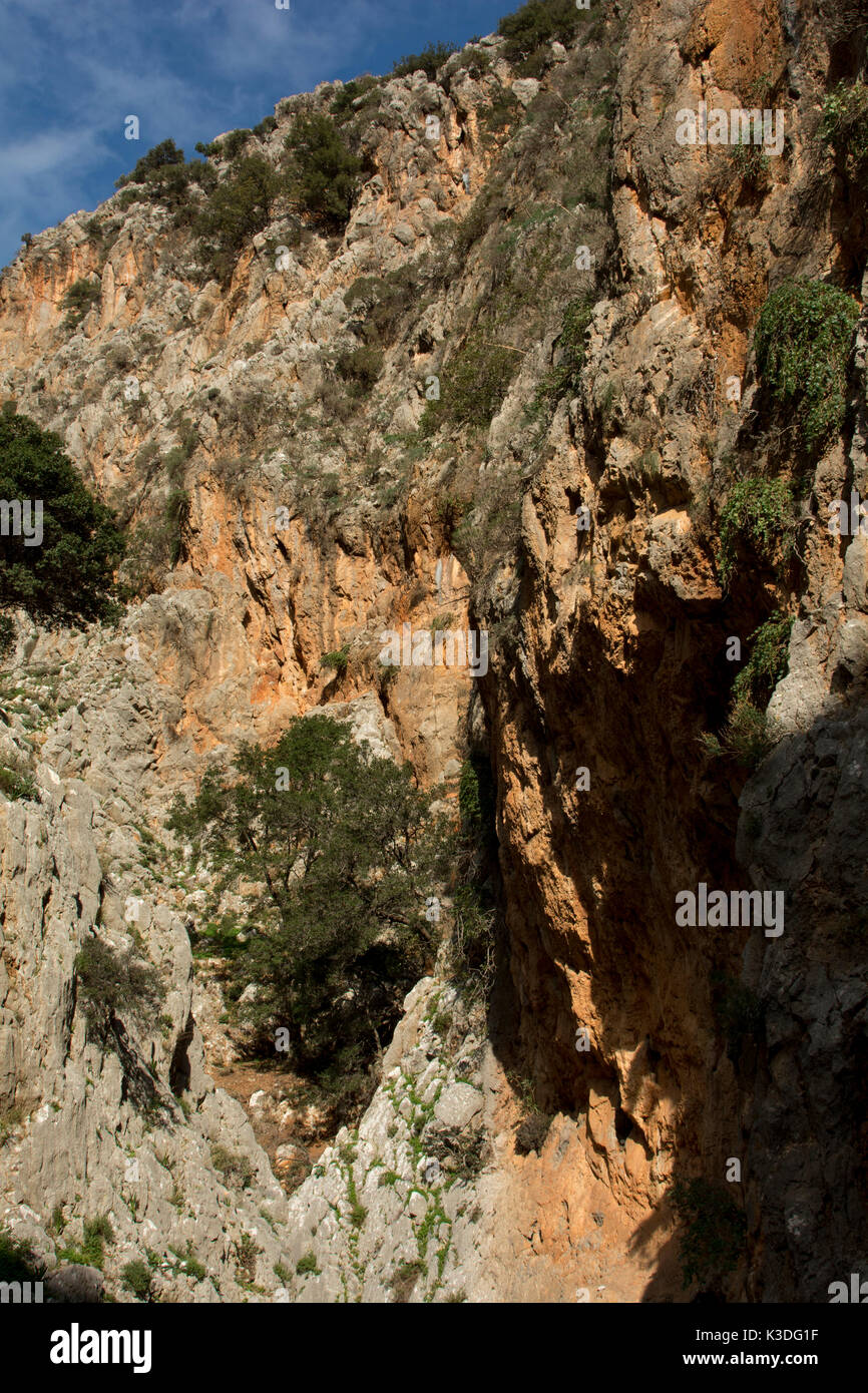 Kritsa Gorge is a narrow limestone canyon running near the town of Kritsa through the limestone mountains of Eastern Crete. Stock Photo