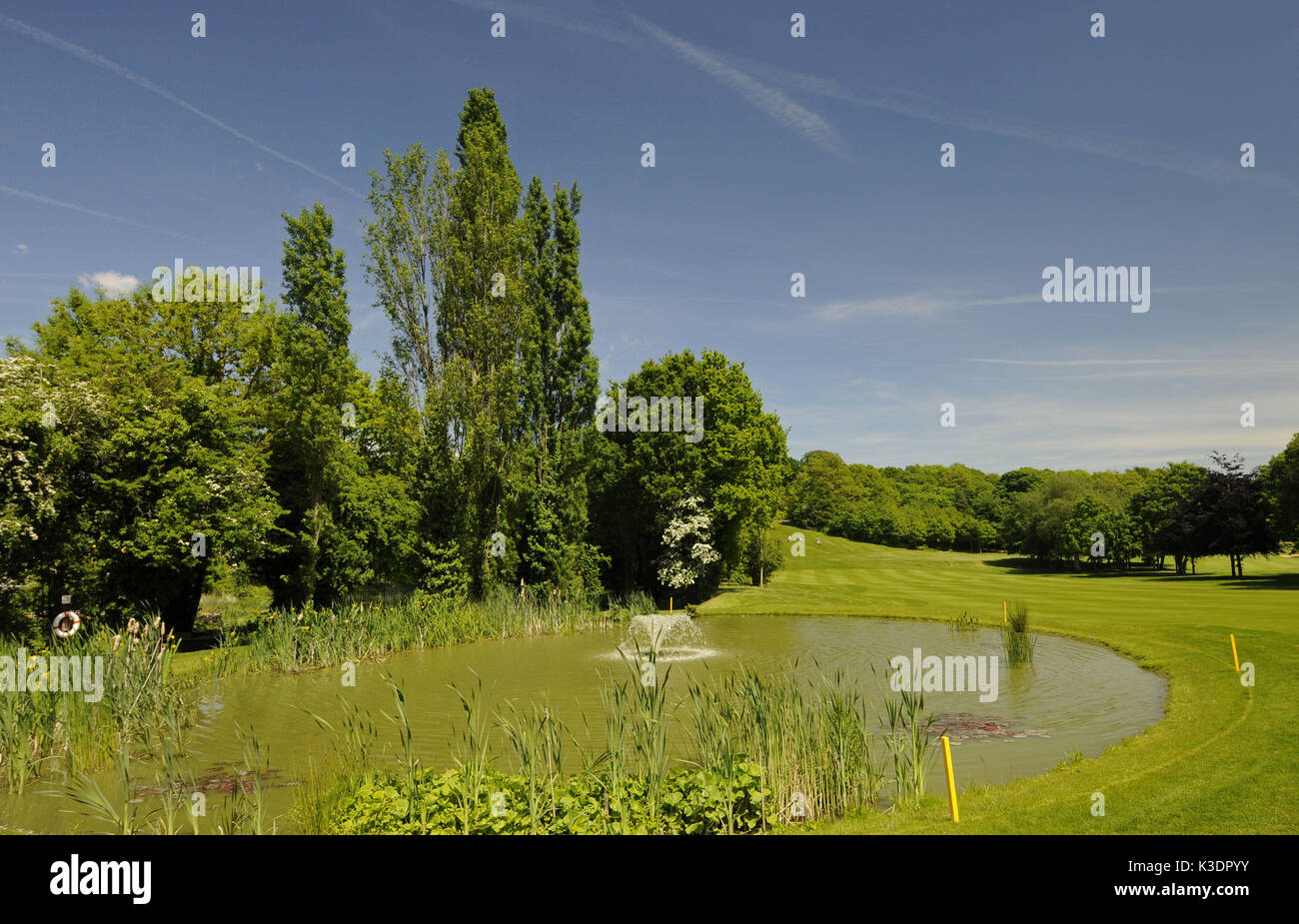 Pond in the Sundridge park golf club, Bromley, Kent, England, Stock Photo