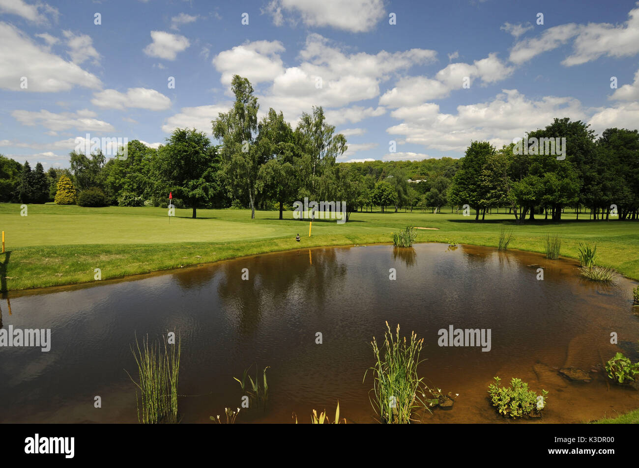 Pond in the Sundridge park golf club, Bromley, Kent, England, Stock Photo