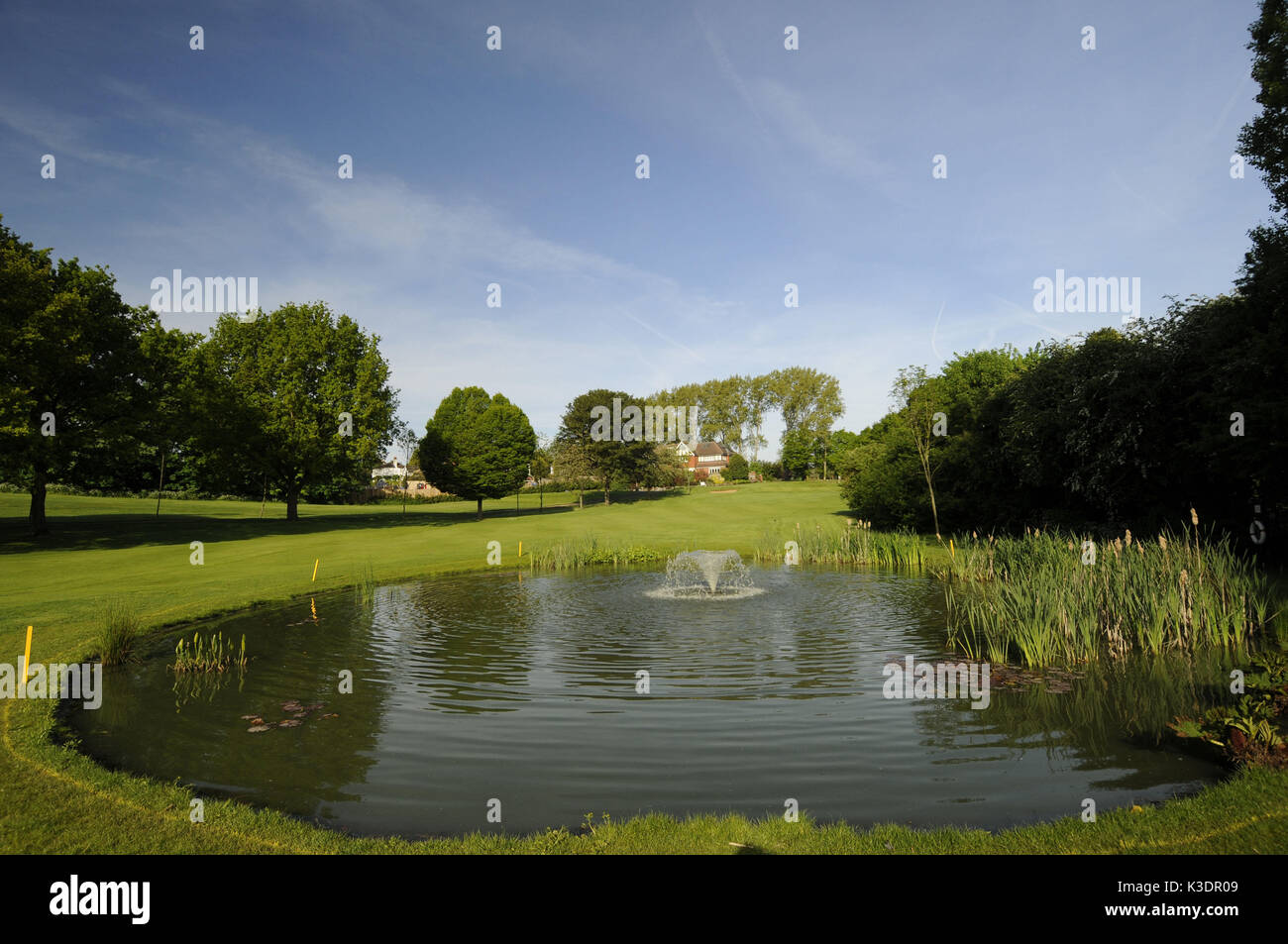 Pond in the Sundridge park golf club, Bromley, Kent, England Stock