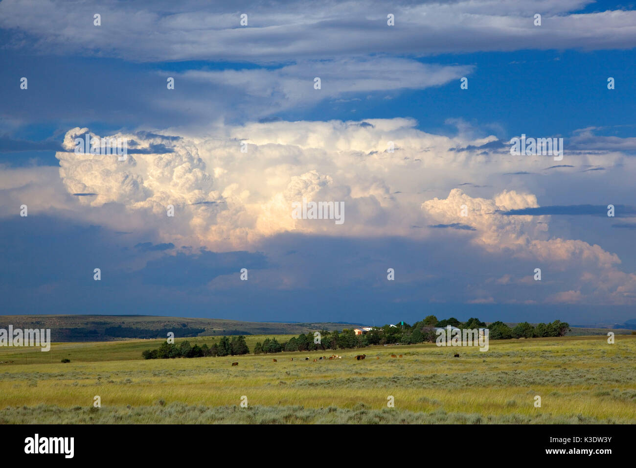 Africa, South Africa, east cape, eastern cape, farm country, Stock Photo