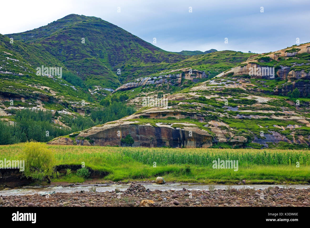 Lesotho Reeds Erosion africa field hi-res stock photography and images - Alamy
