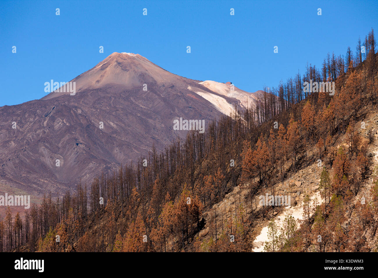 View at the Teide volcano, Tenerife, the Canaries, Spain, Stock Photo