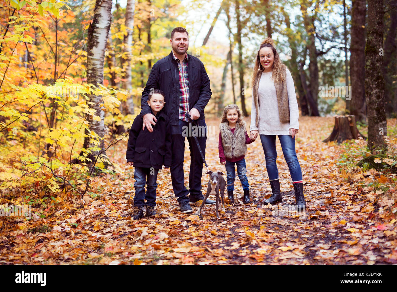 Family of four enjoying golden leaves in autumn park Stock Photo - Alamy