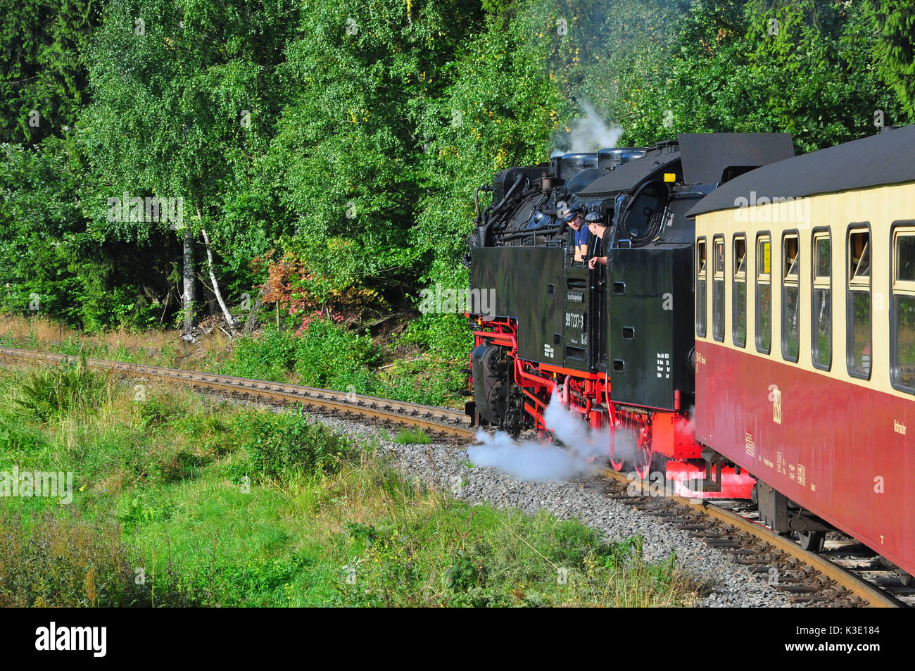 Deutschland, Sachsen-Anhalt, Ostharz, Dampfzug, nostalgisch, Harzer Schmalspurbahn, Stock Photo