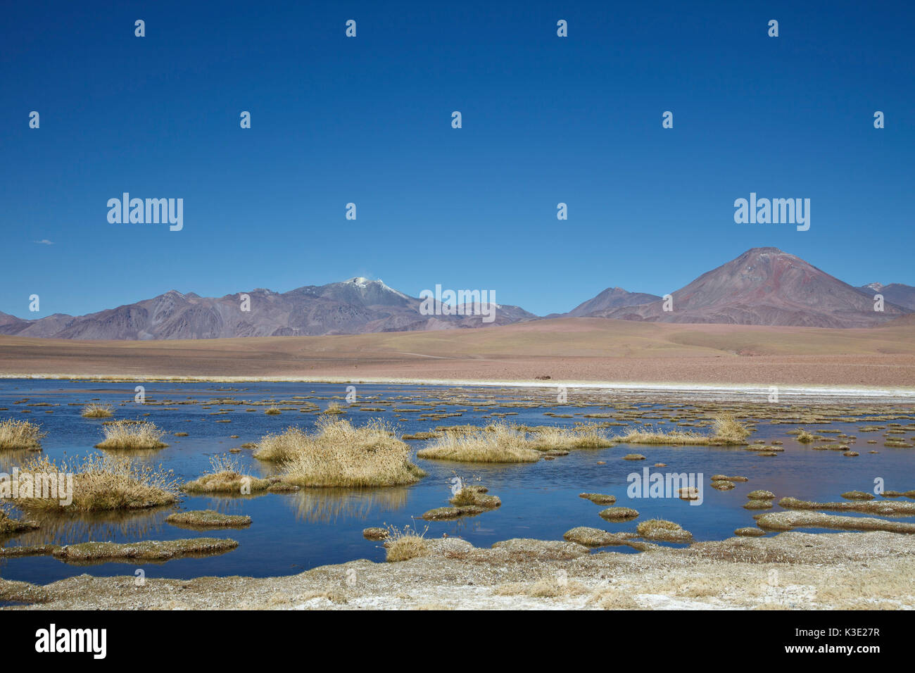 Chile, the North, Andines highland, lagoon, volcanoes, Ichu grass, Stock Photo