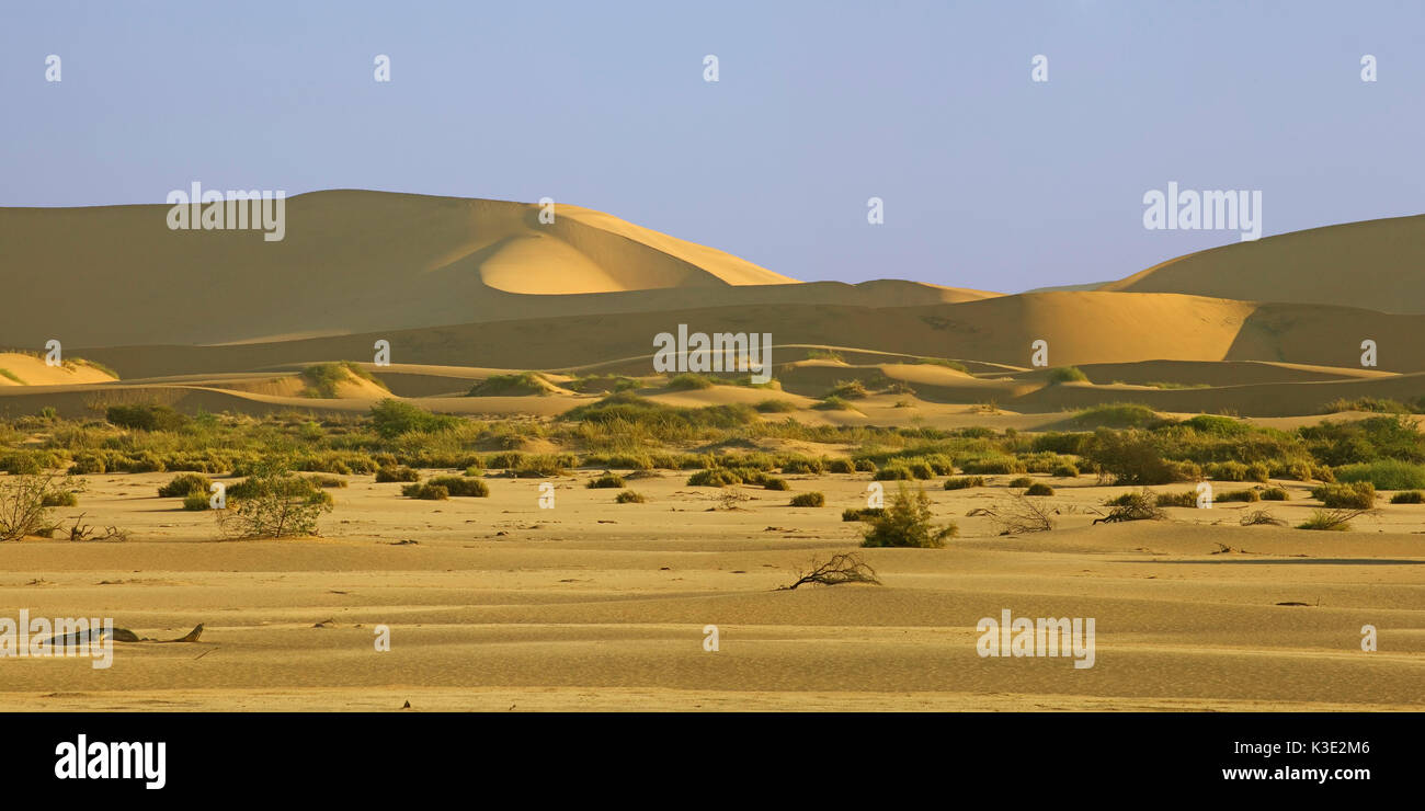 Africa, Namibia, Erongo region, Namib Naukluft park, Rooibank, Walvis Bay, mouth range of the Kuiseb River, dune area, panoramic picture, Stock Photo