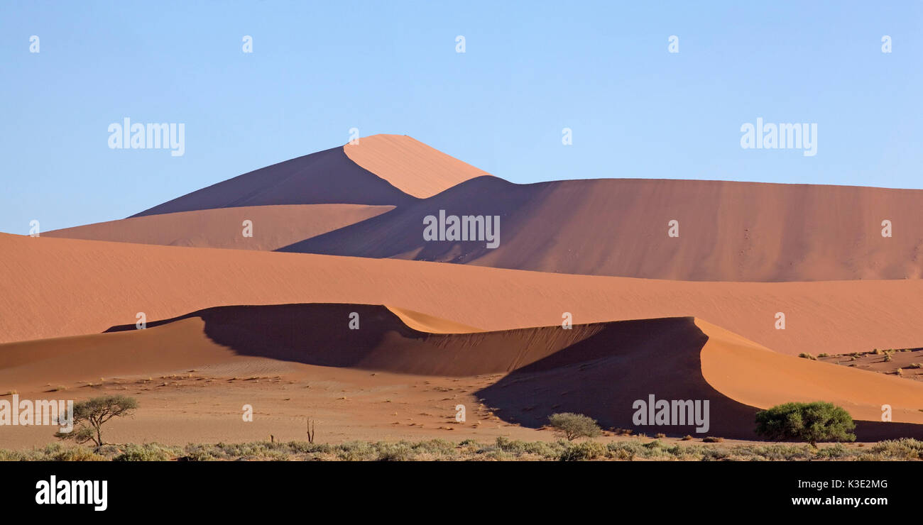 Africa, Namibia, desert, Namib desert, Hardap region, Namib Naukluft park, dune area, Sossusvlei, panoramic picture, Stock Photo