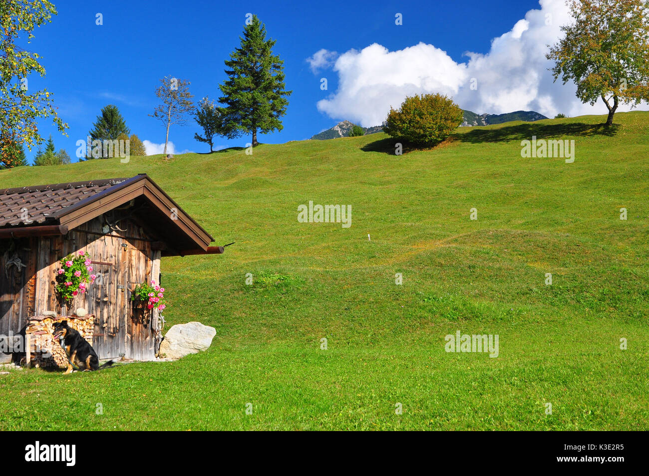 Deutschland, Bayern, Isartal, Buckelwiesen, Holzhütte, Stock Photo