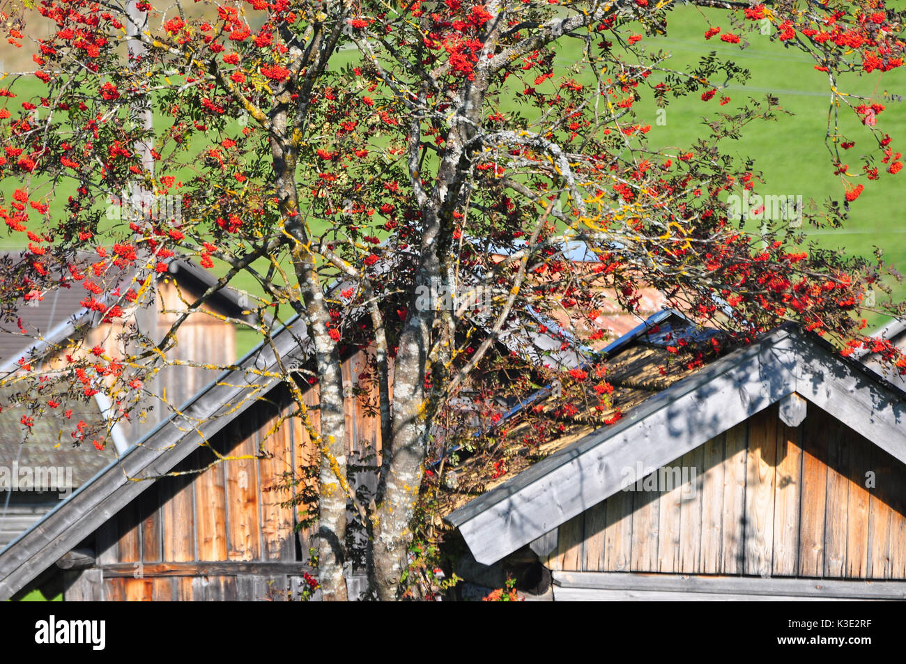 Ba Tten High Resolution Stock Photography And Images Alamy