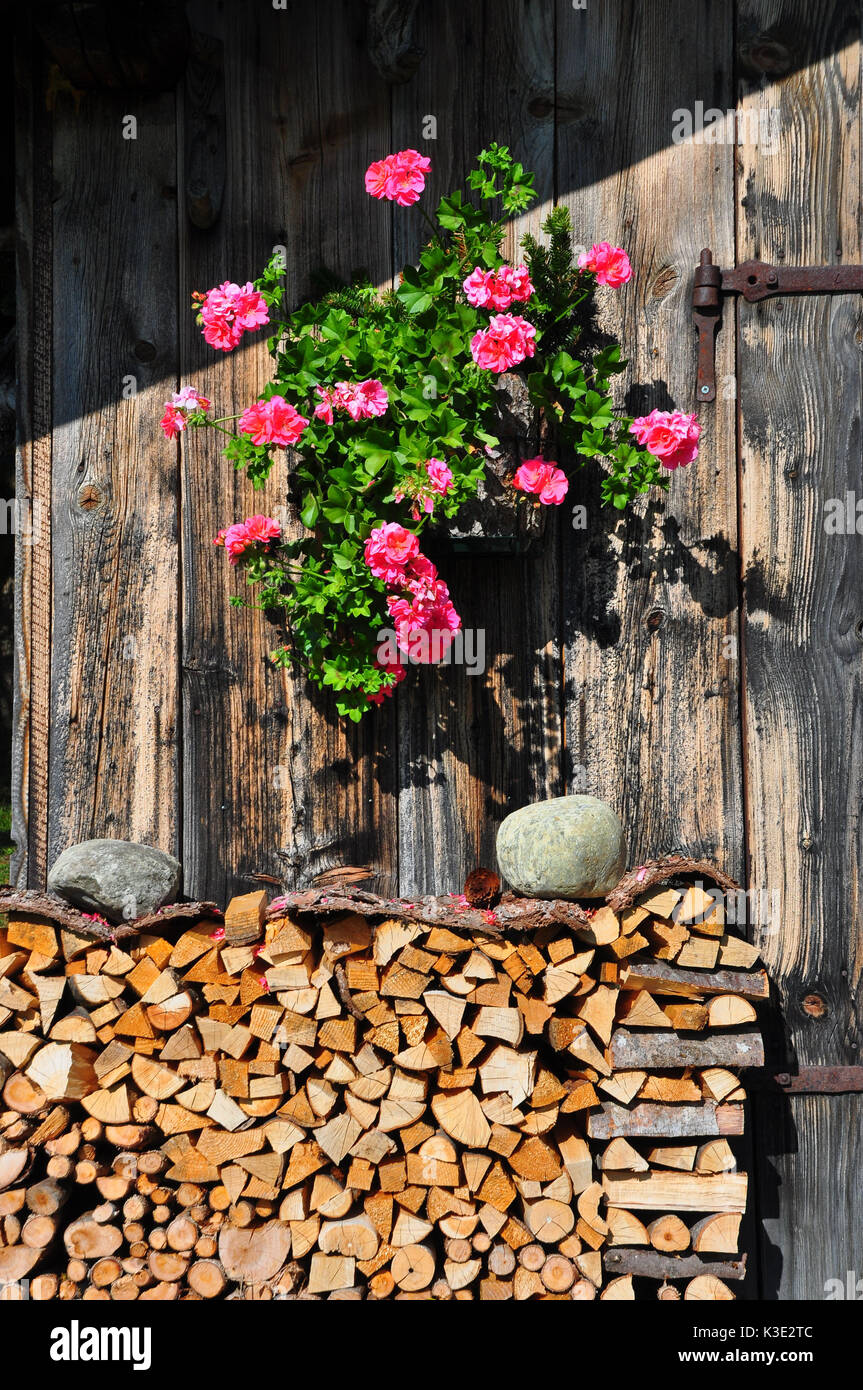 Deutschland, Bayern, Isartal, Buckelwiesen, HolzhÃ¼tte, Stock Photo