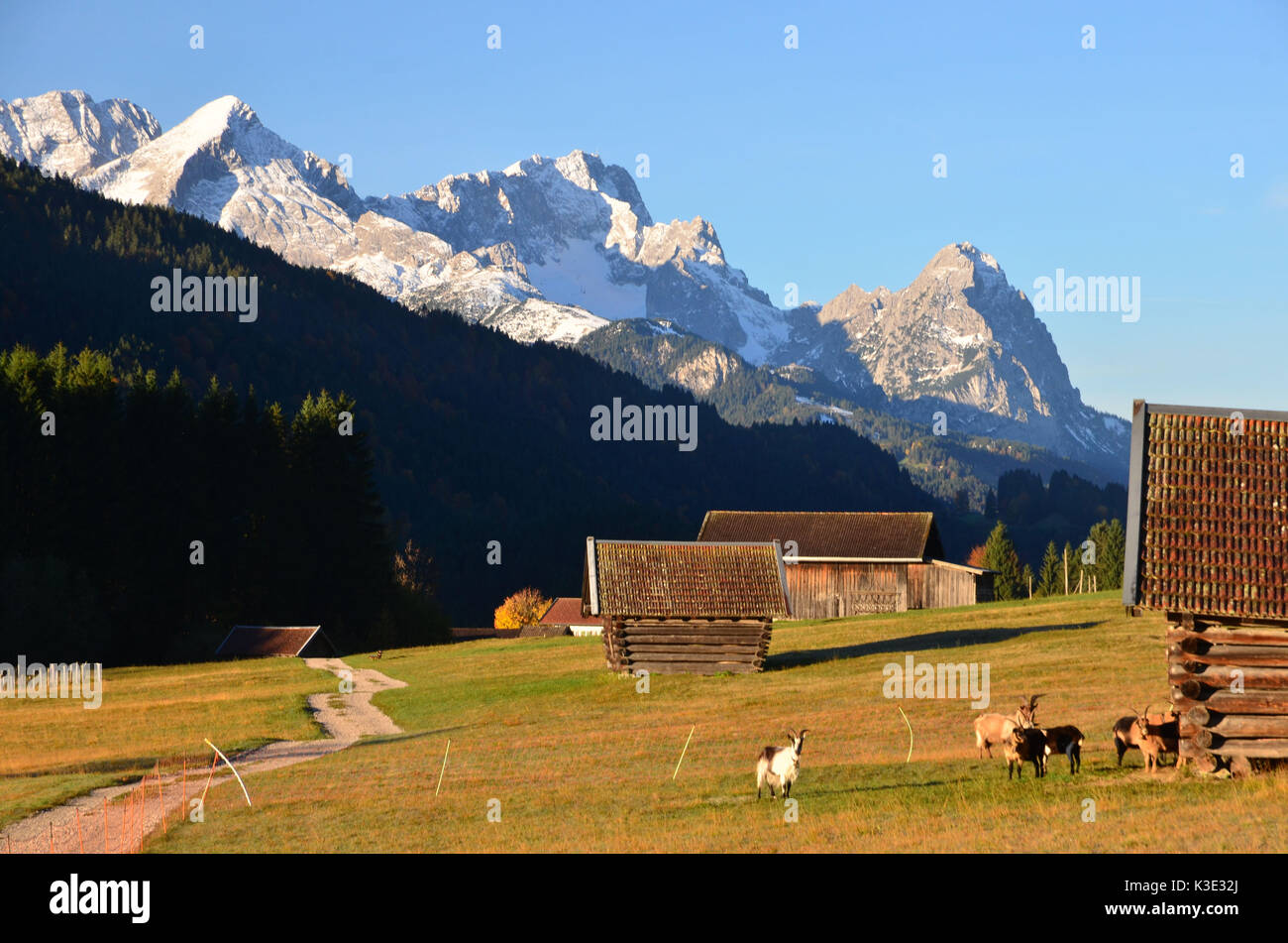 Deutschland, Bayern, Gerold, Wettersteingebirge, Nutzwiese, Ziegen, Heustadl, Stock Photo