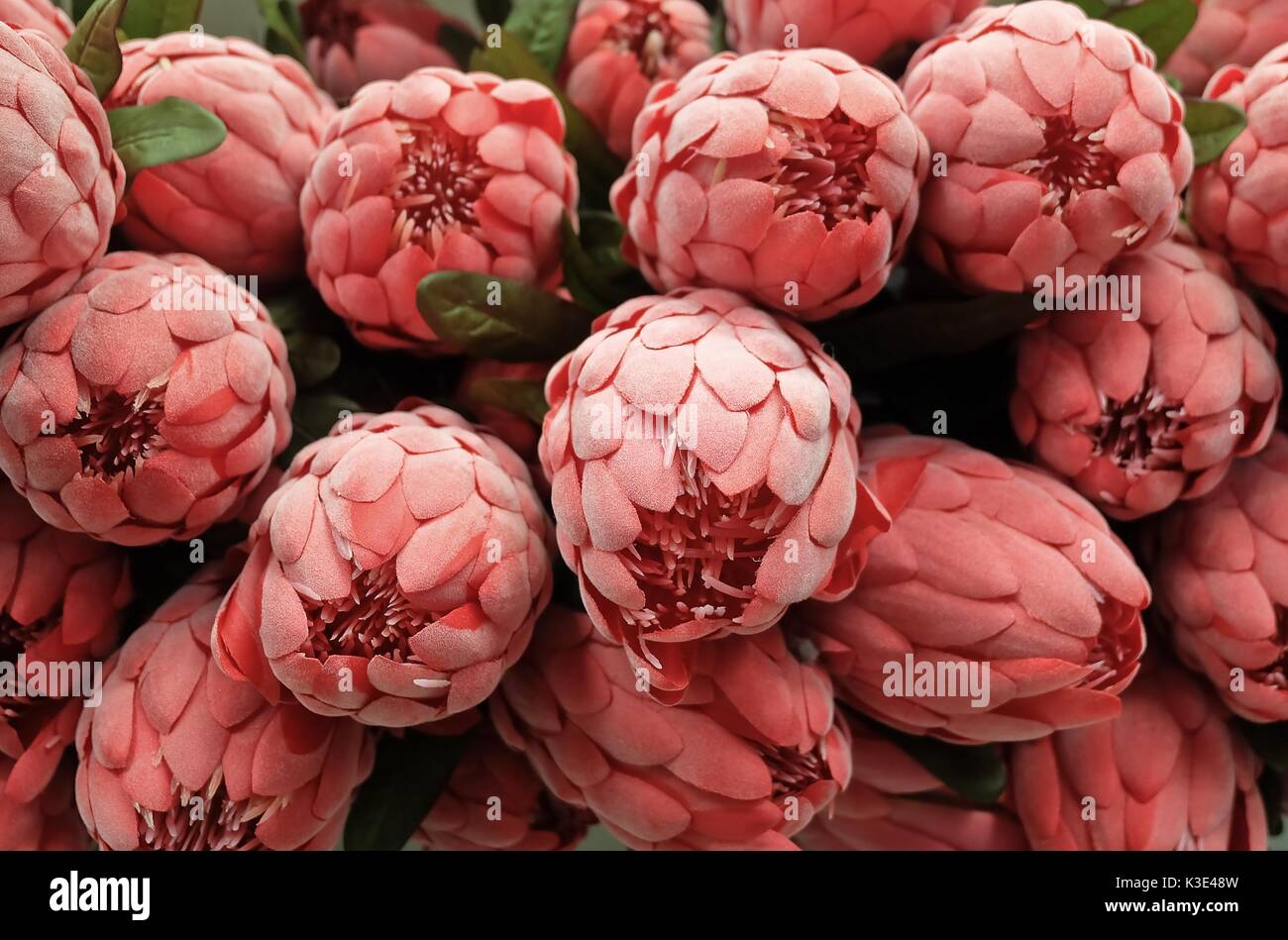 Bunch of Red Artificial Protea Aristata Flowers for Home and Building