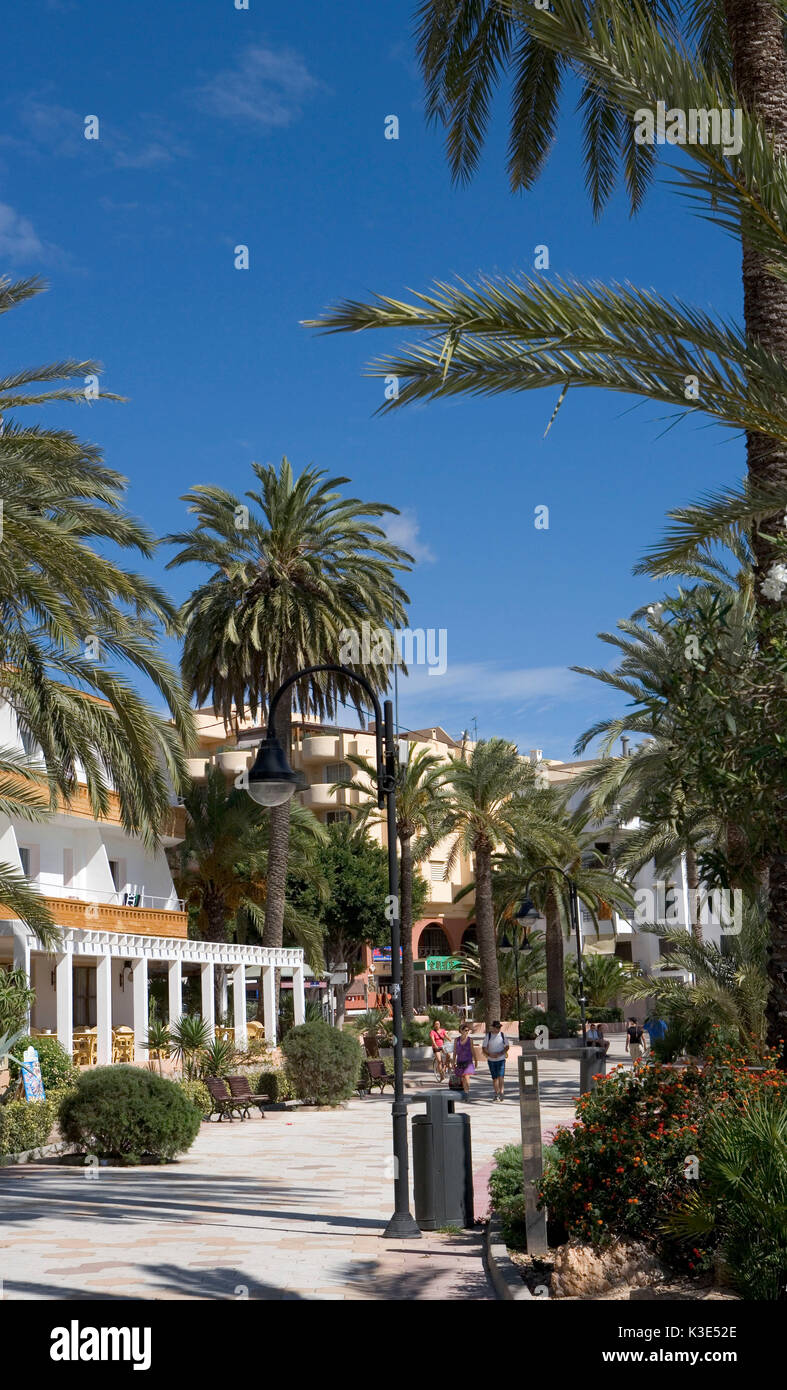 Ses Figueretes - beliebter Badeort bei jungen Leuten - in Nähe der Hauptstadt Eivissa - Sandstrand - schöne, palmenbestandene Uferpromenade Stock Photo