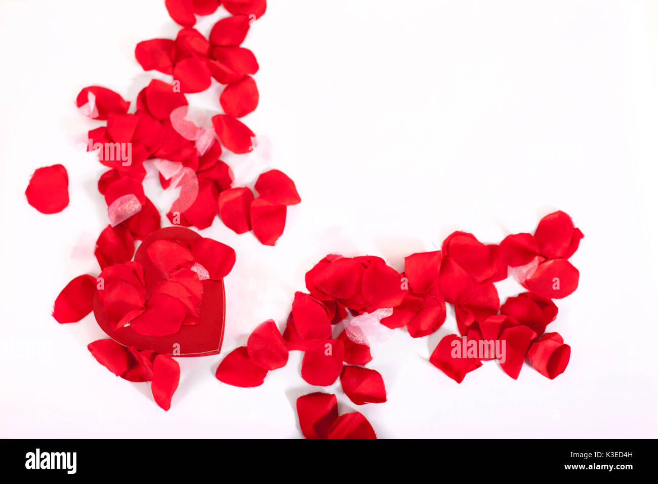 White rose petals scattered hi-res stock photography and images - Alamy