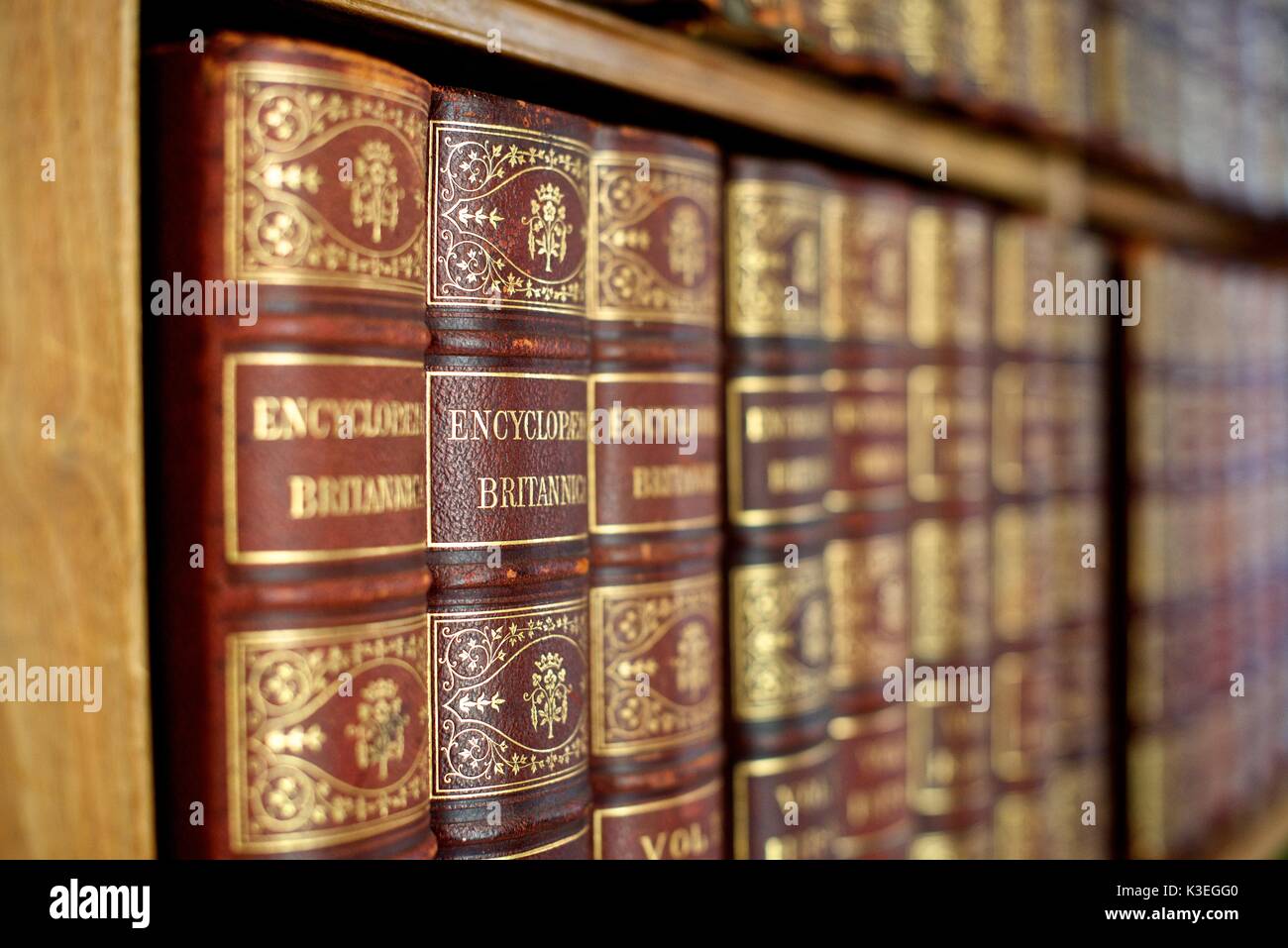 Killerton Devon Interior High Resolution Stock Photography and Images ...