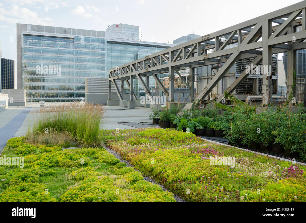 Rooftop gardens hires stock photography and images Alamy