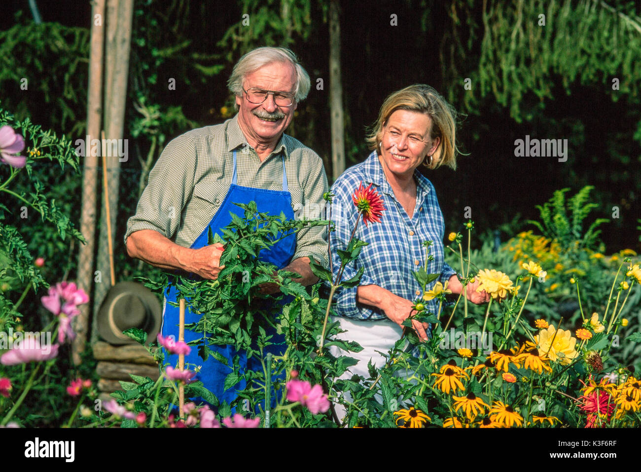 Older granny hi-res stock photography and images - Alamy