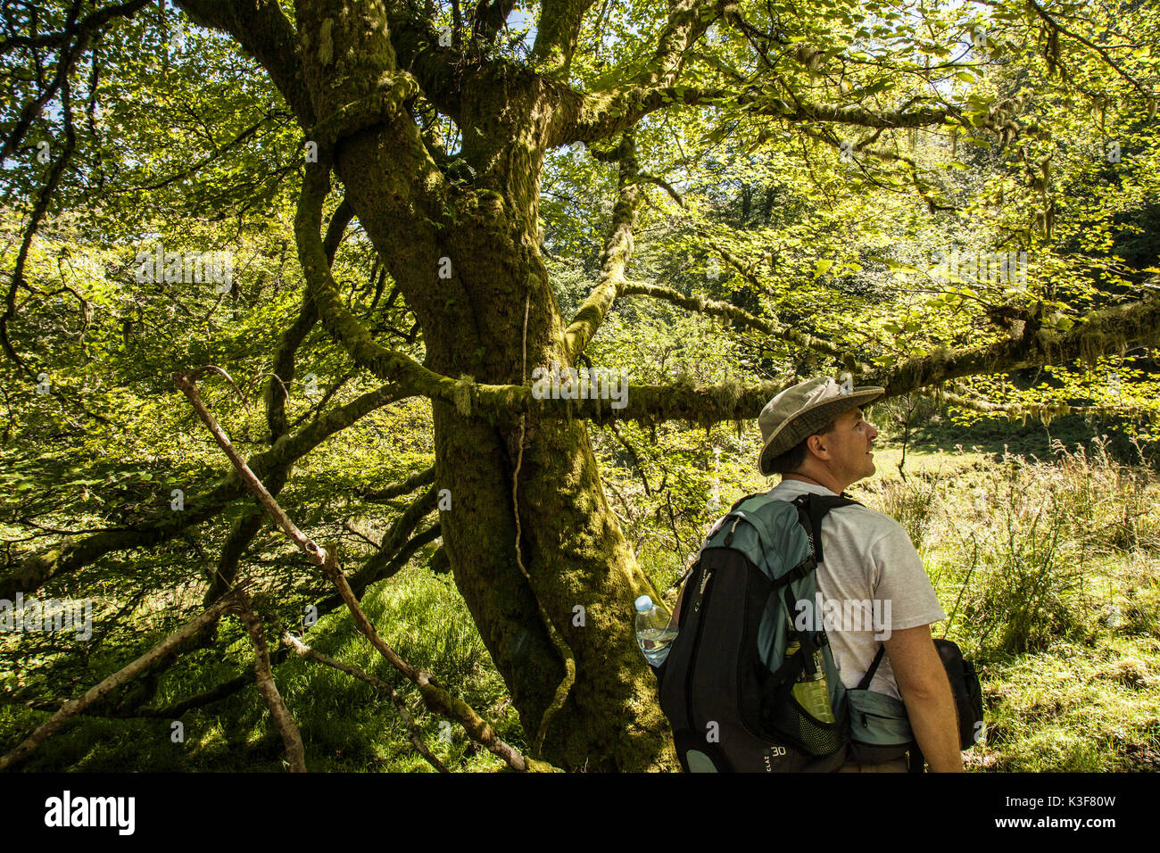 Man forest bag hi-res stock photography and images - Alamy
