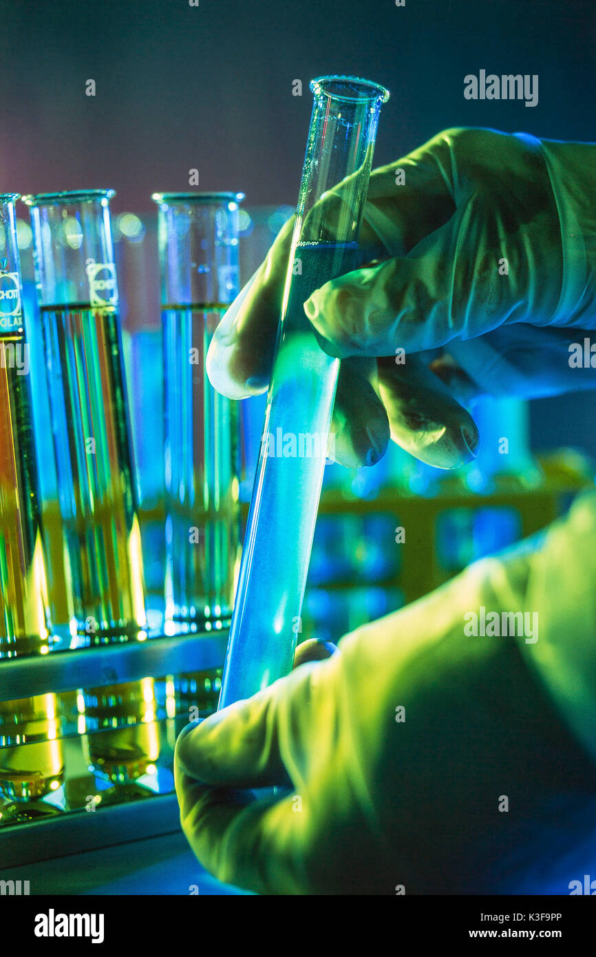 Test tubes at the laboratory Stock Photo