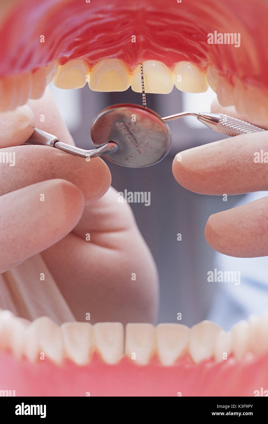 Examination at the dentist / detailed view oral Stock Photo Alamy