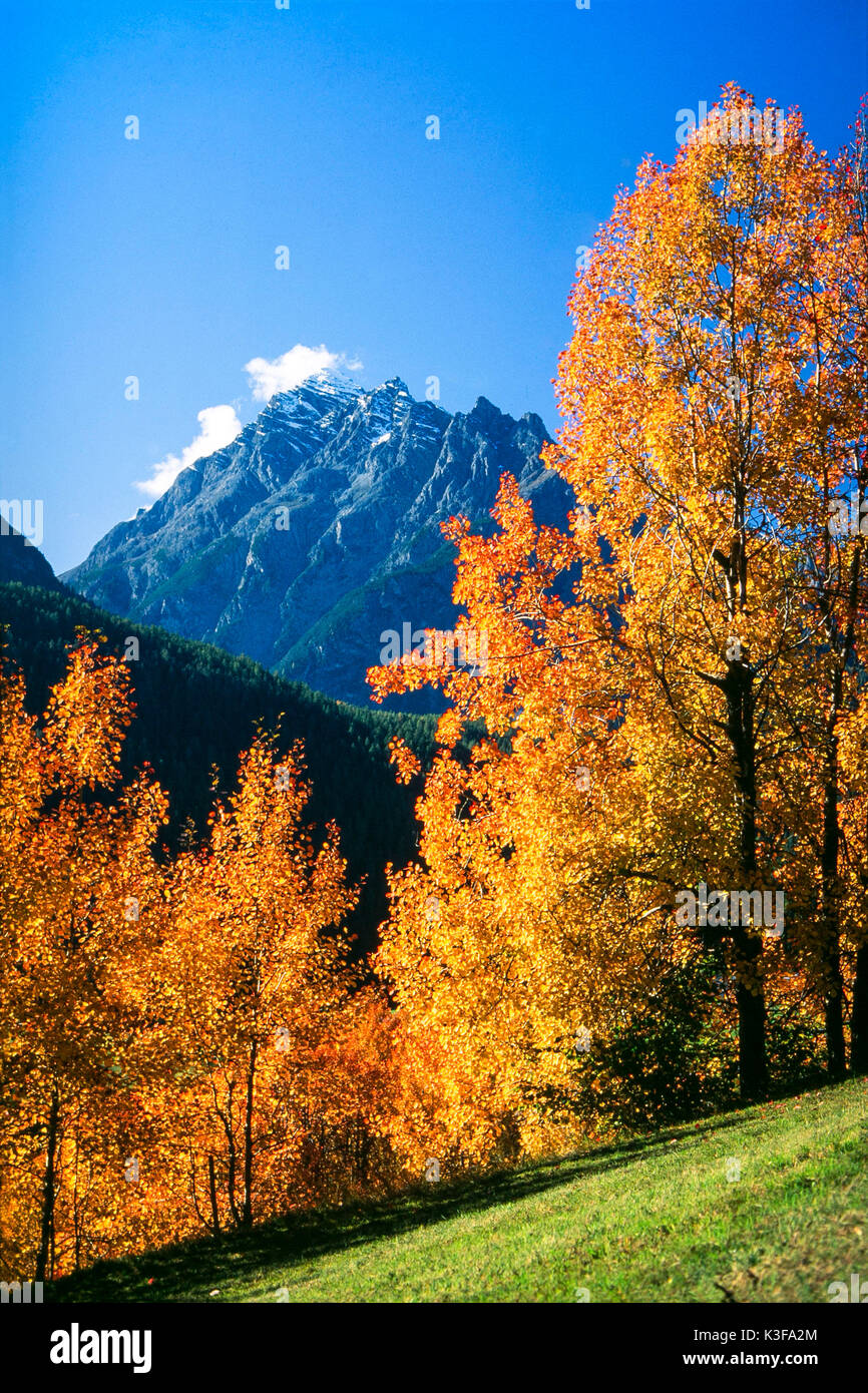 Mountain landscape close autumnally tinted trees Stock Photo
