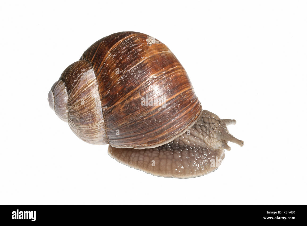 Vacuity Cut Out Stock Images & Pictures - Alamy