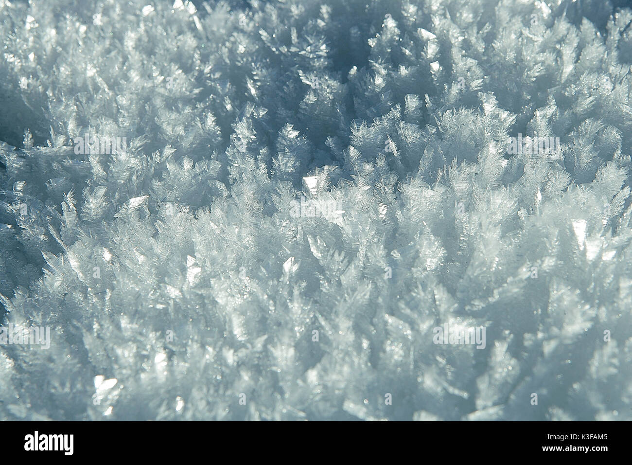 Snow crystals Stock Photo