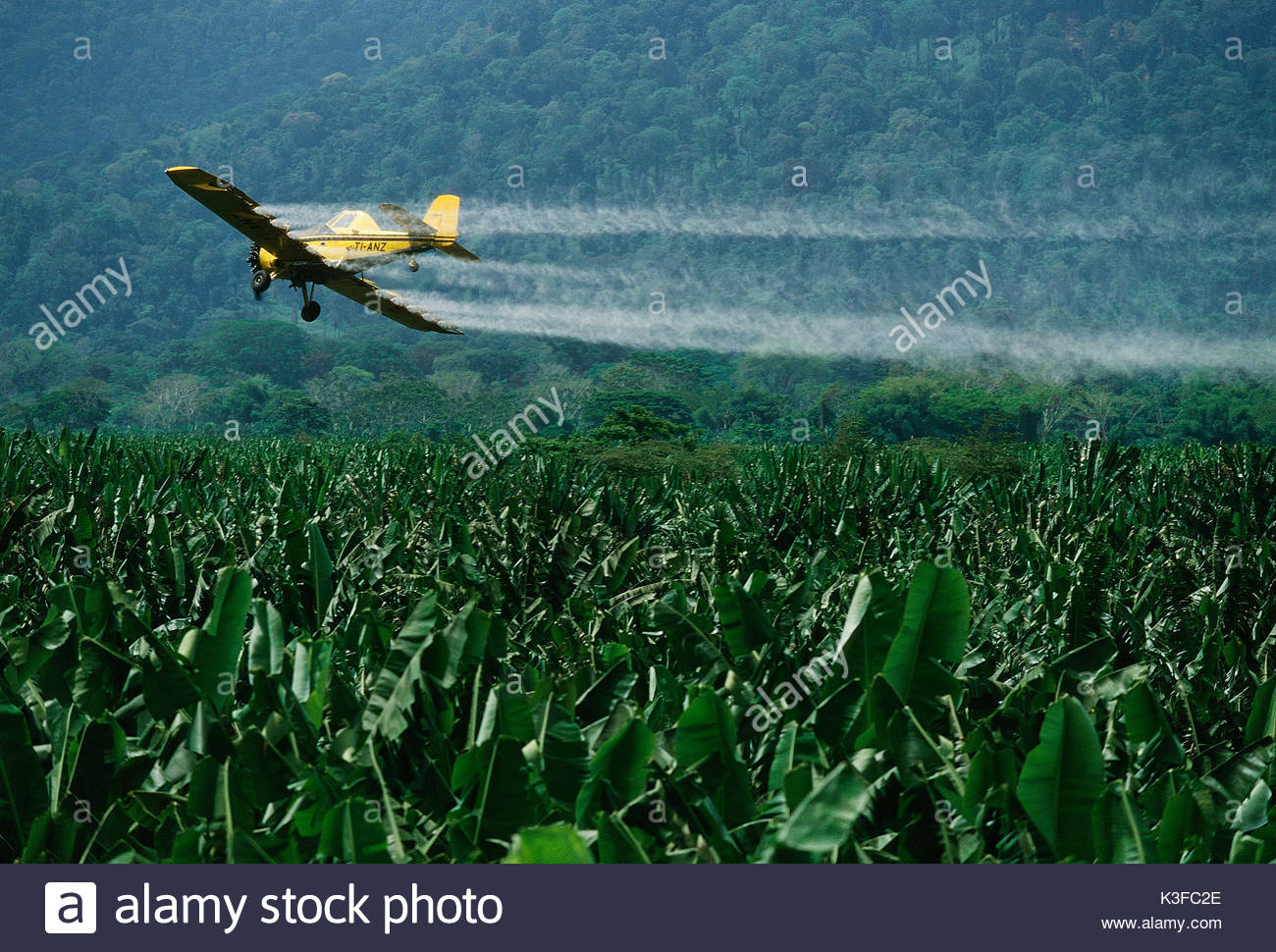 Monoculture Stock Photos & Monoculture Stock Images Alamy