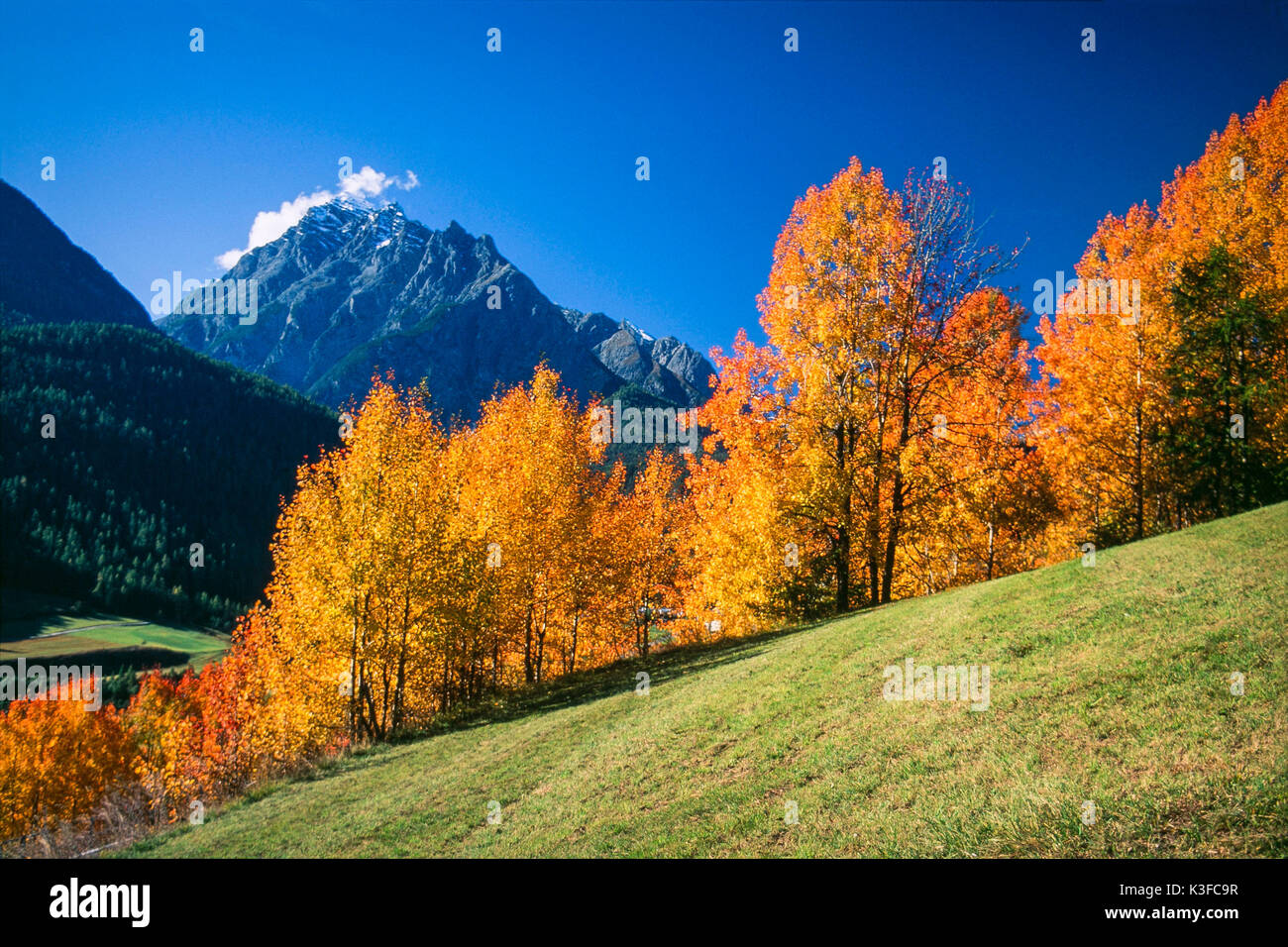 Mountain landscape close autumnally tinted trees Stock Photo