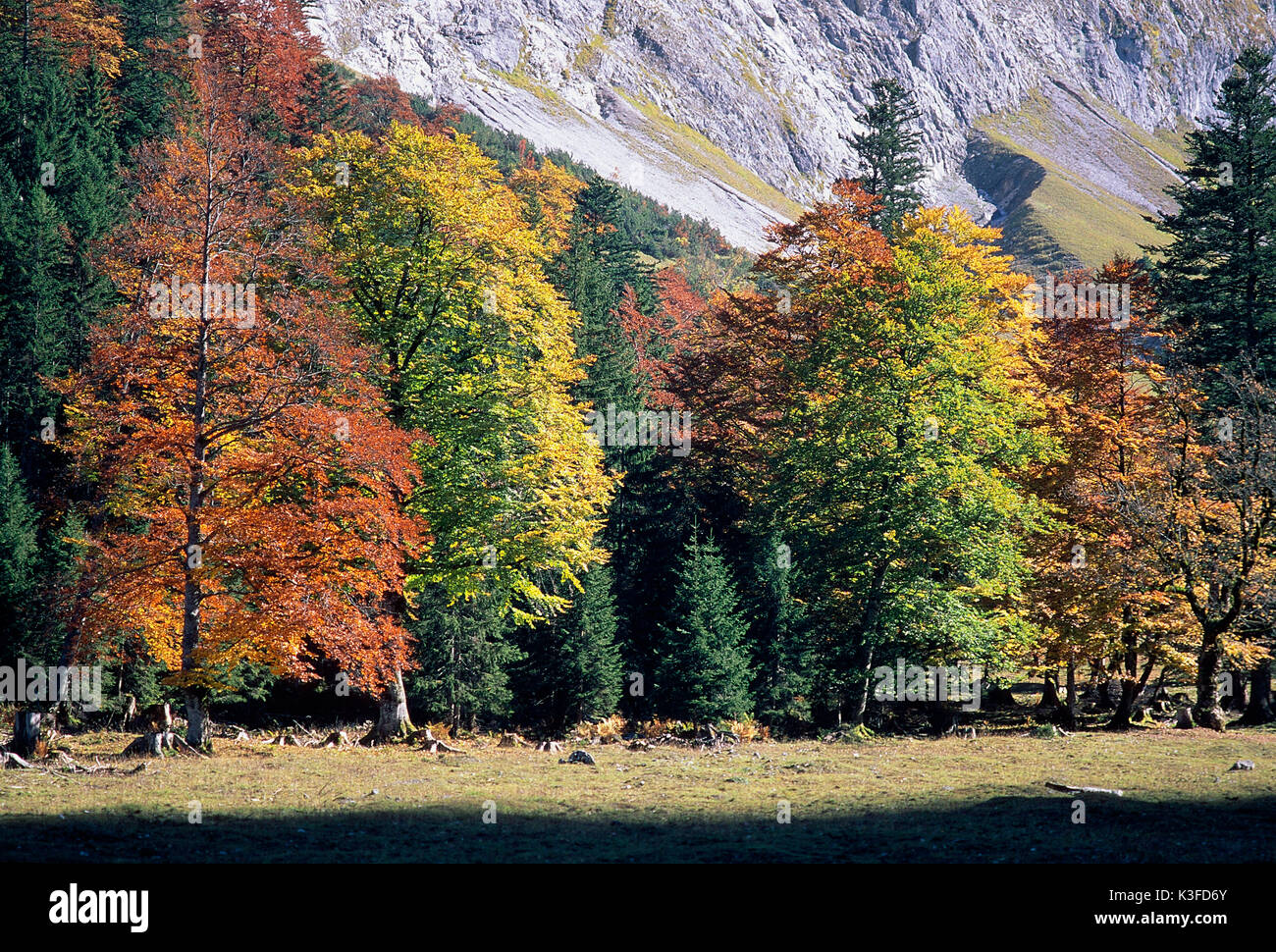 Mountain landscape close autumnally tinted trees Stock Photo