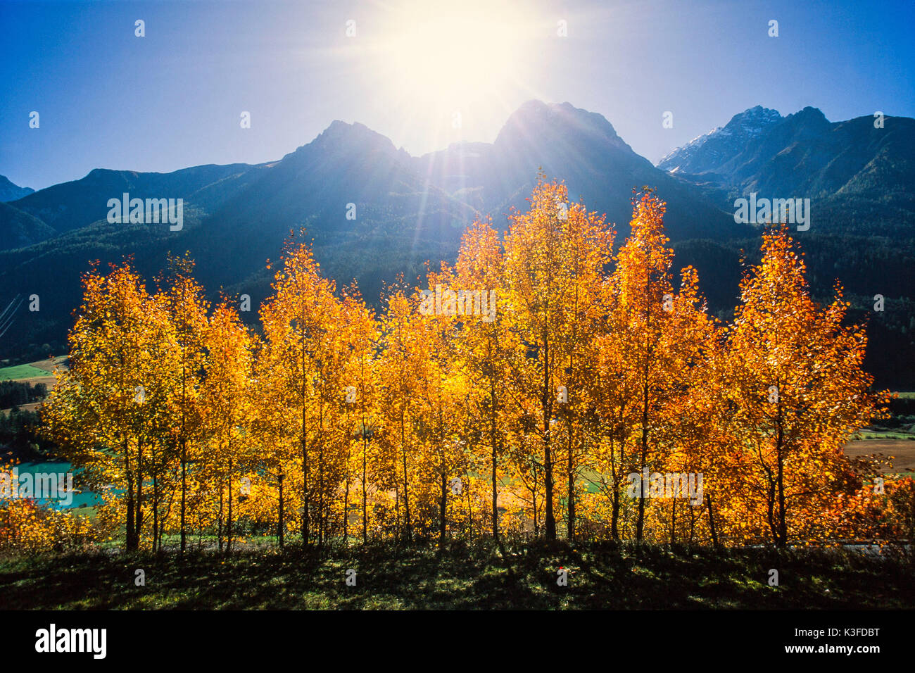 Mountain landscape at the Unterengadin close autumnally tinted trees Stock Photo