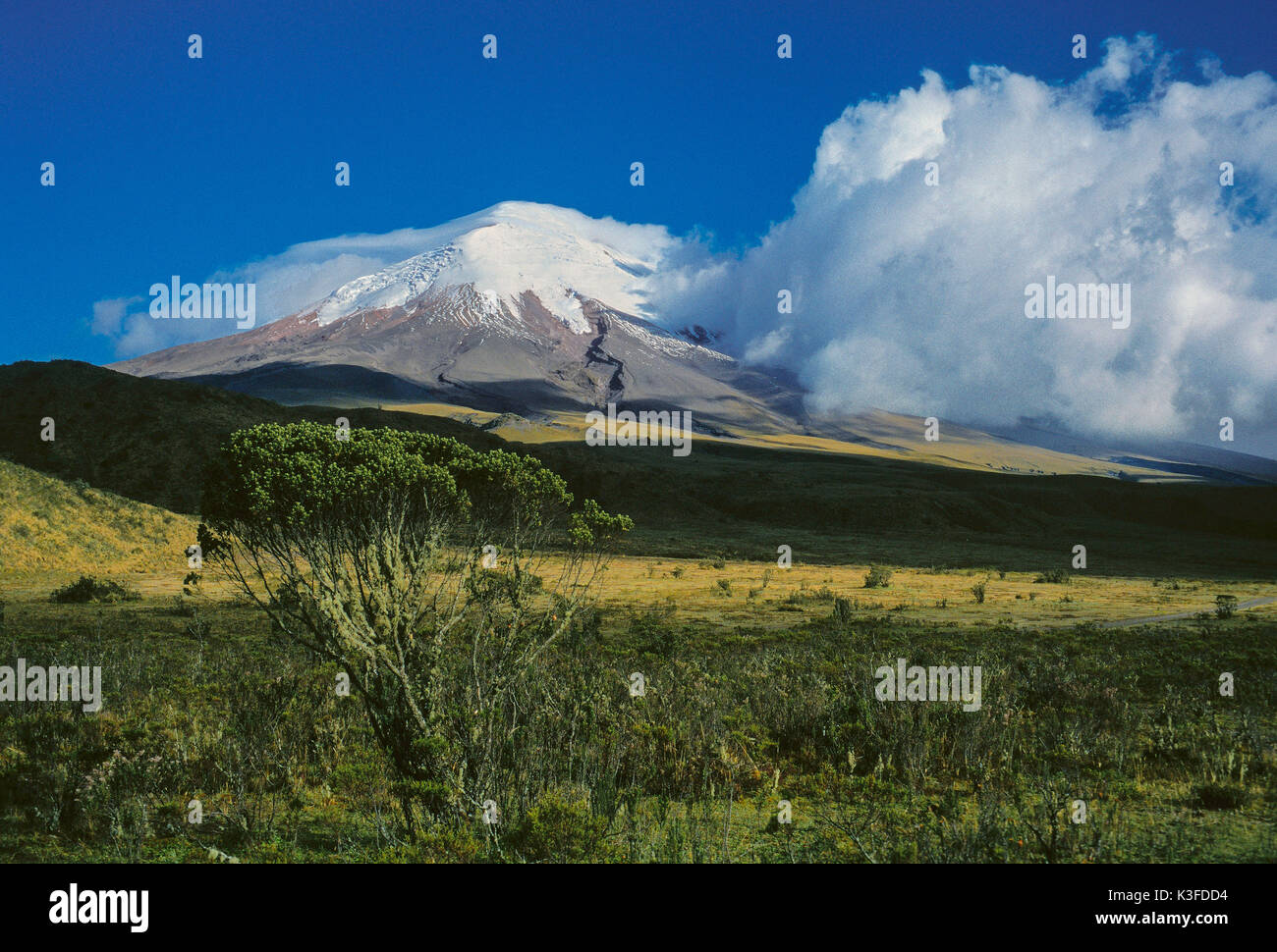 Cotopaxi volcano hi-res stock photography and images - Alamy
