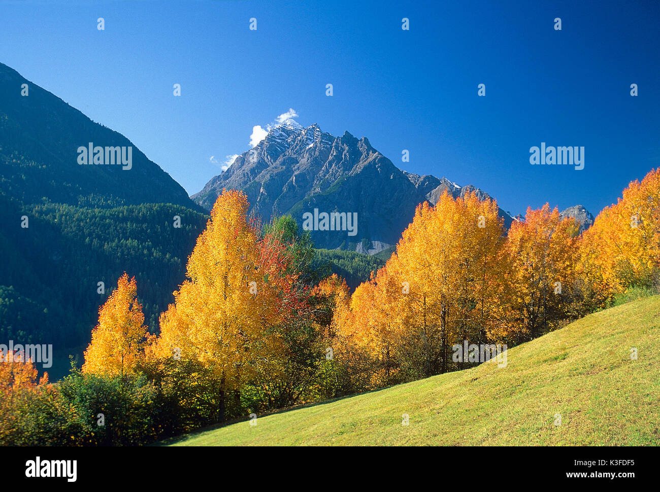 Mountain landscape close autumnally tinted trees Stock Photo