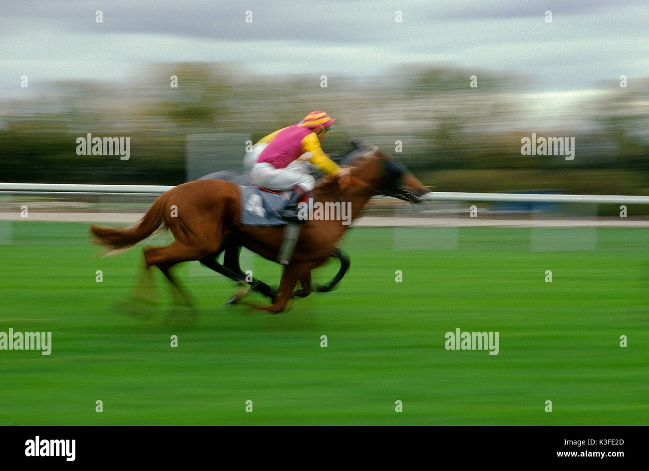 horseraces, Jockey on racing horse Stock Photo