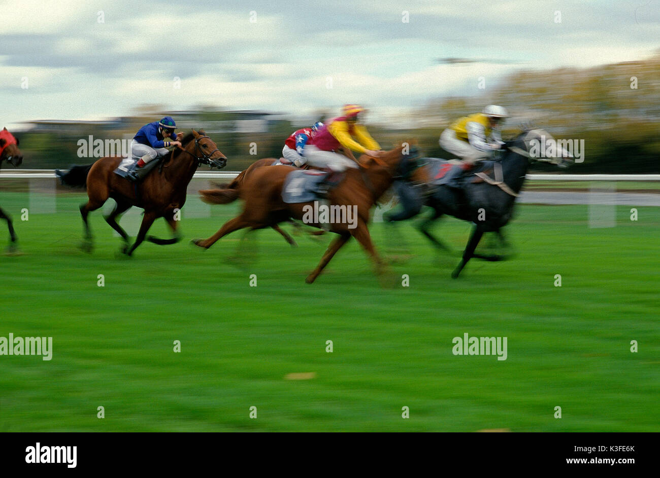 horseraces, Jockey on racing horse Stock Photo