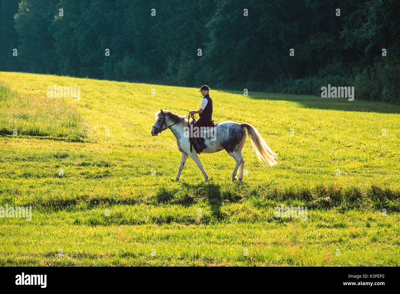 Woman at the horse riding Stock Photo