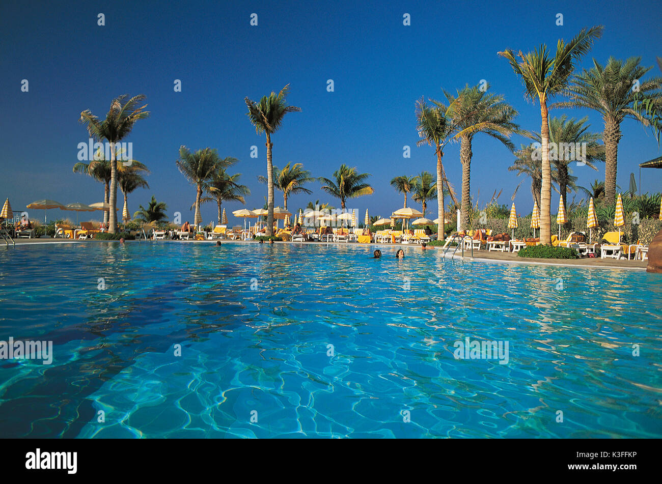 Swimming pool / pool of a holiday's hotel close palms Stock Photo